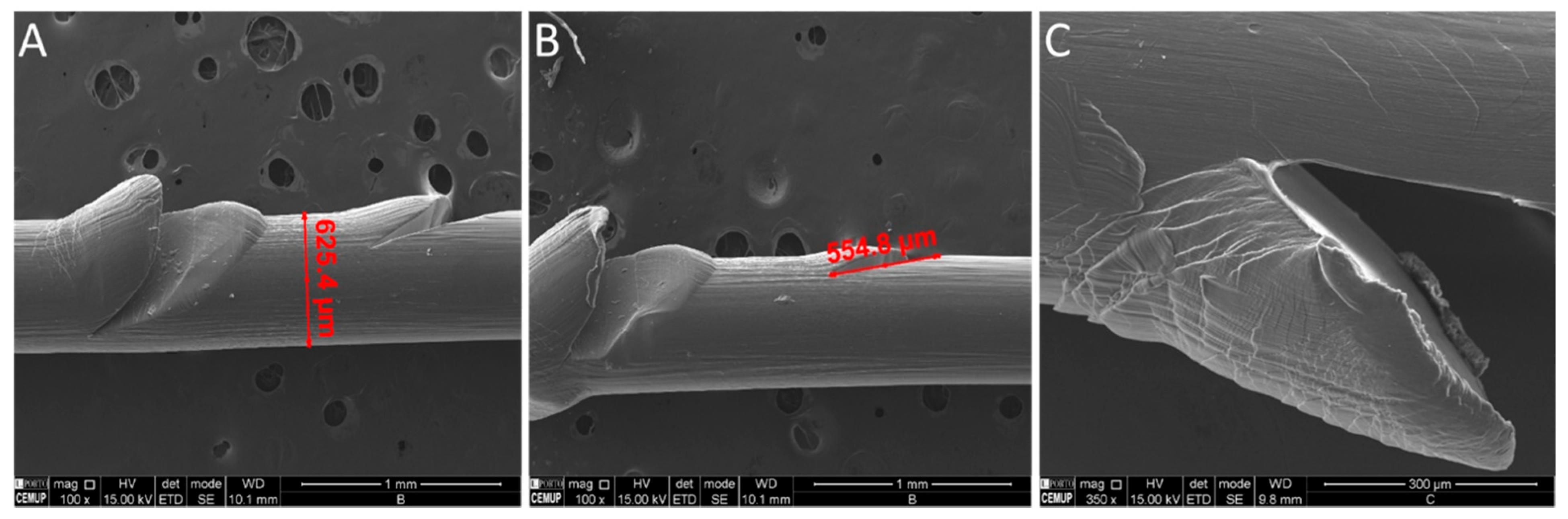 Surgeries 03 00012 g004