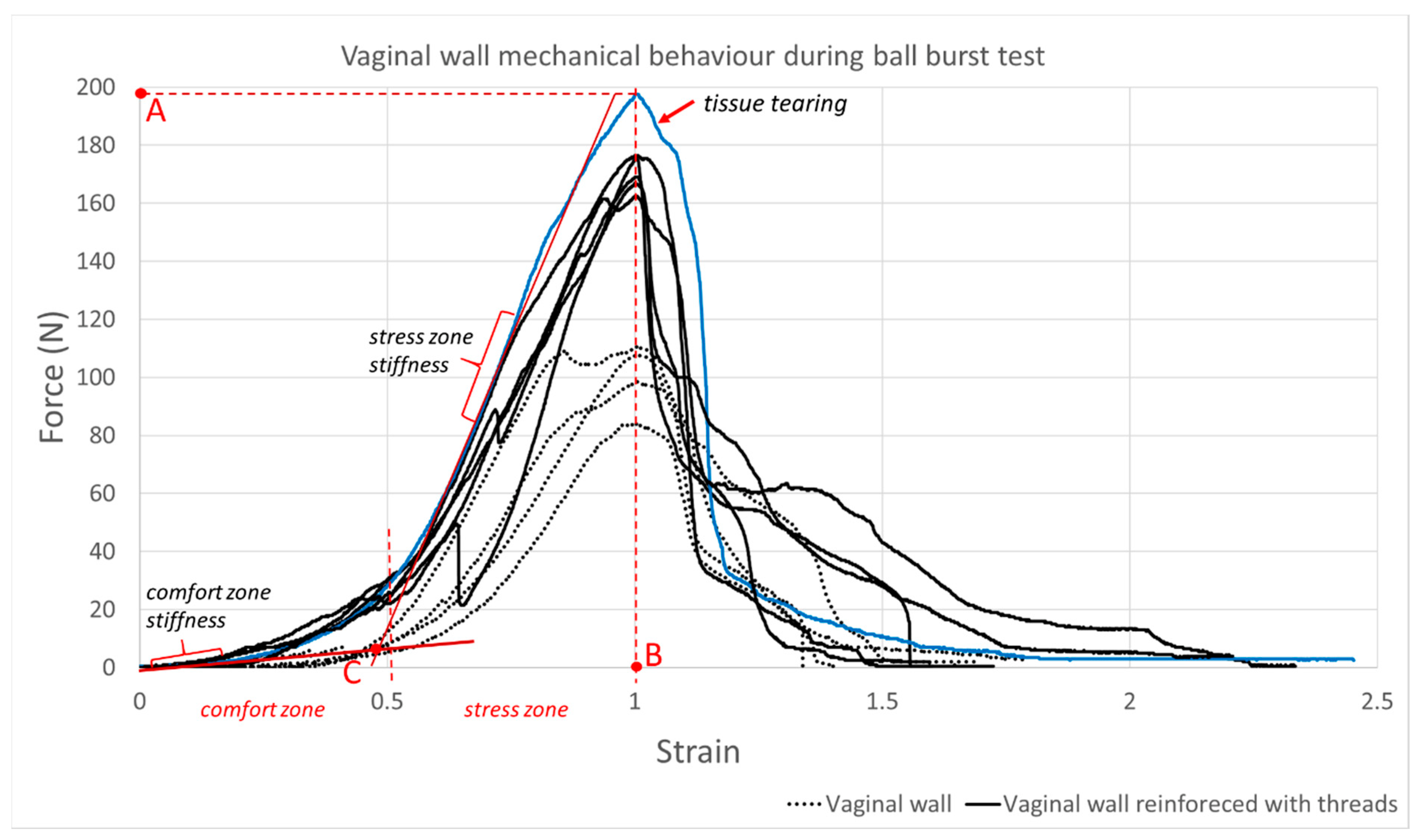 Surgeries 03 00012 g006