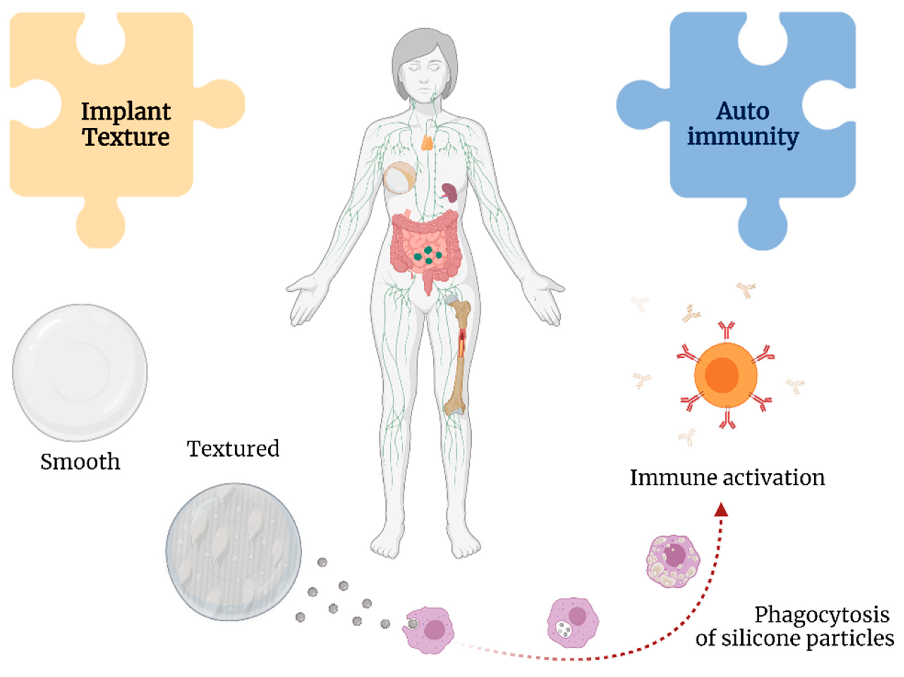 Surgeries 03 00013 g005