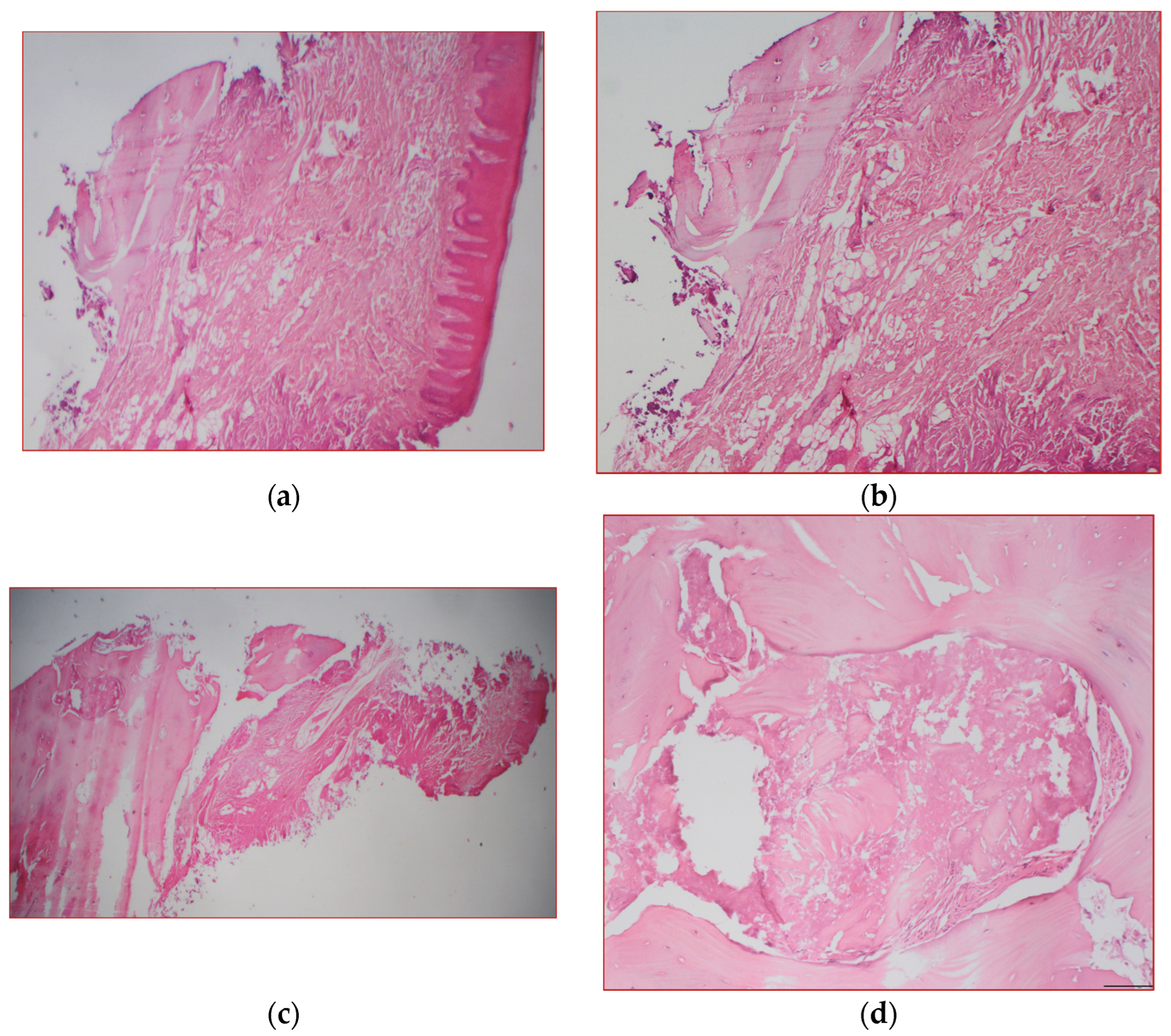 Surgeries 03 00032 g007