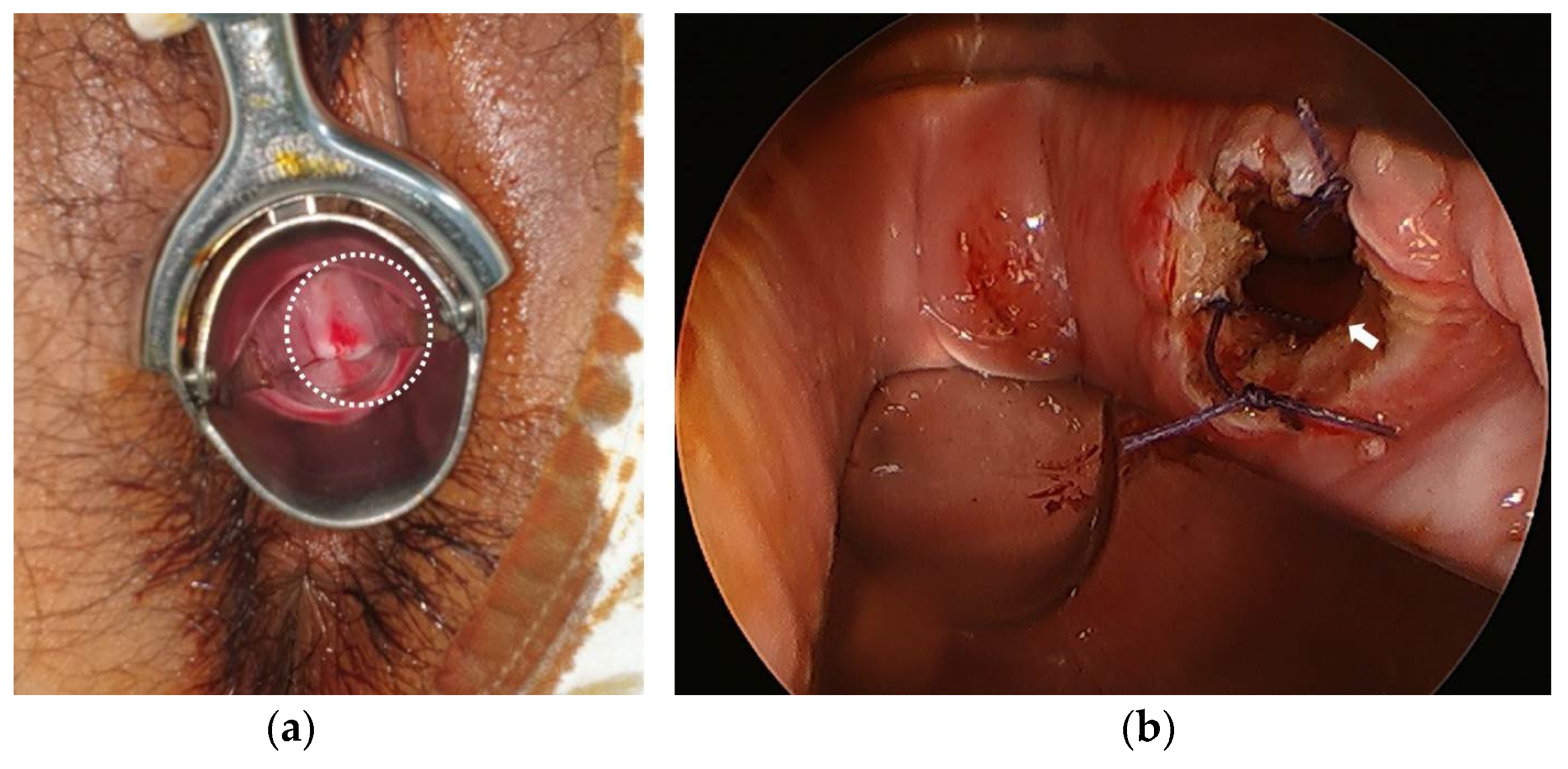 Surgeries 04 00002 g002