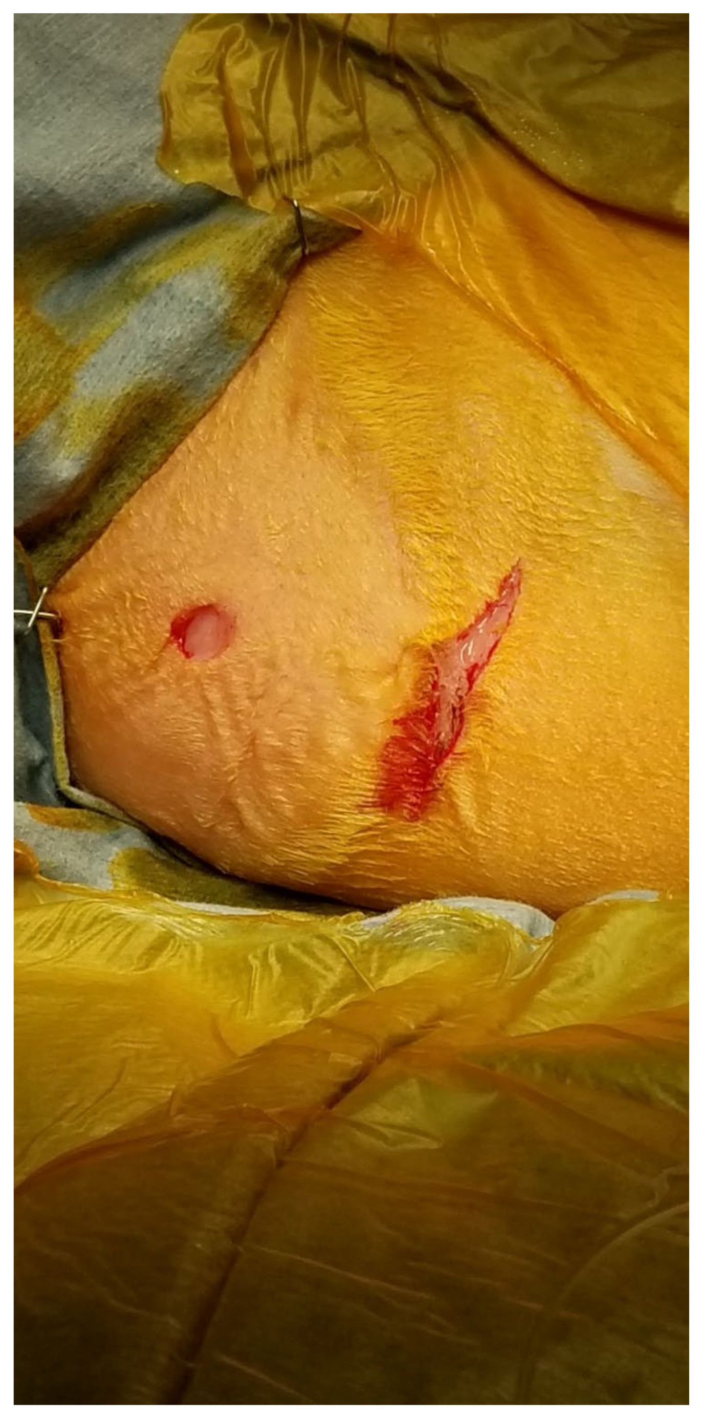 Surgeries 04 00016 g003