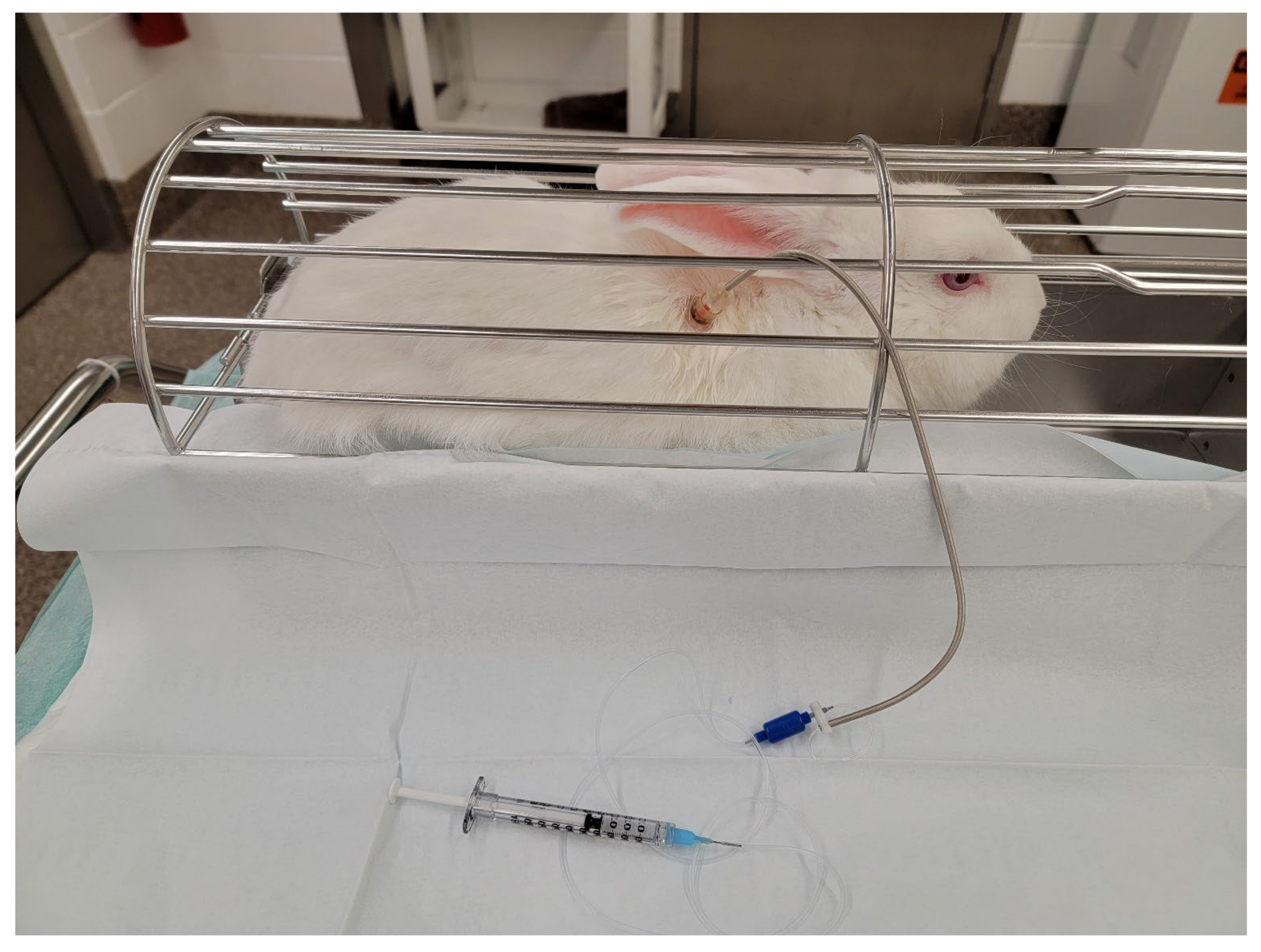 Surgeries 04 00016 g005