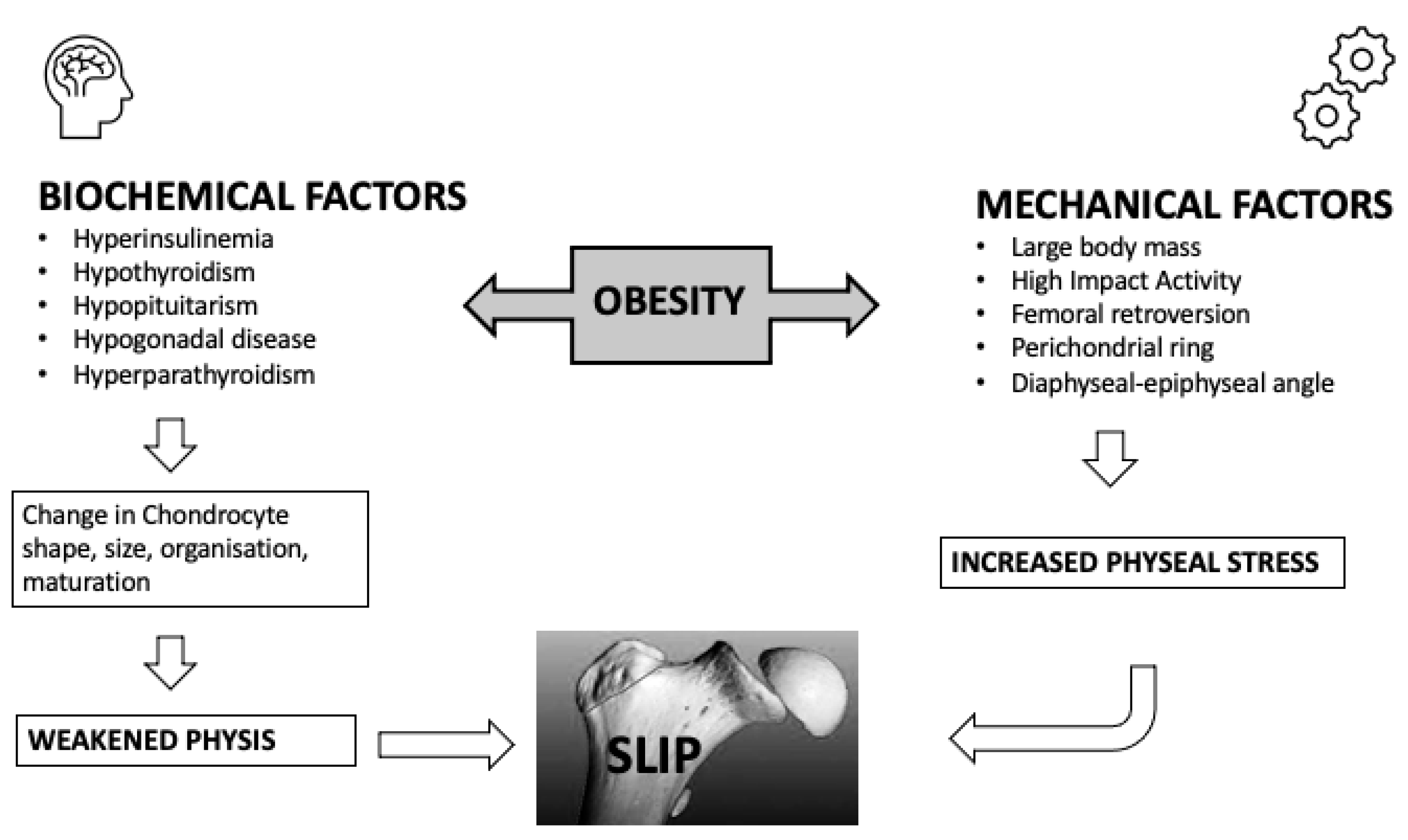 Surgeries 04 00017 g002 Surgeries 04 00017 g002