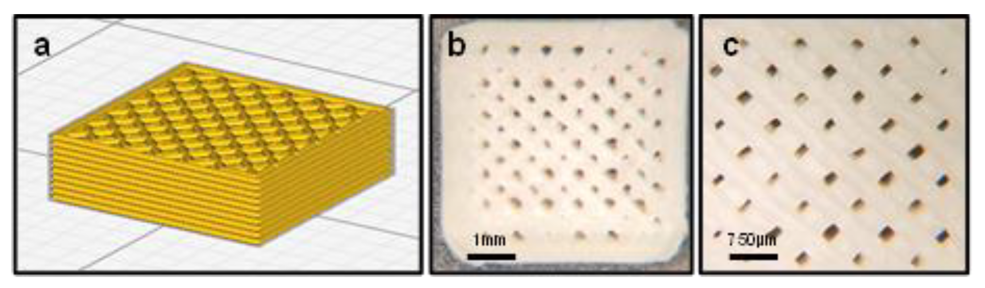Surgeries 04 00021 g001
