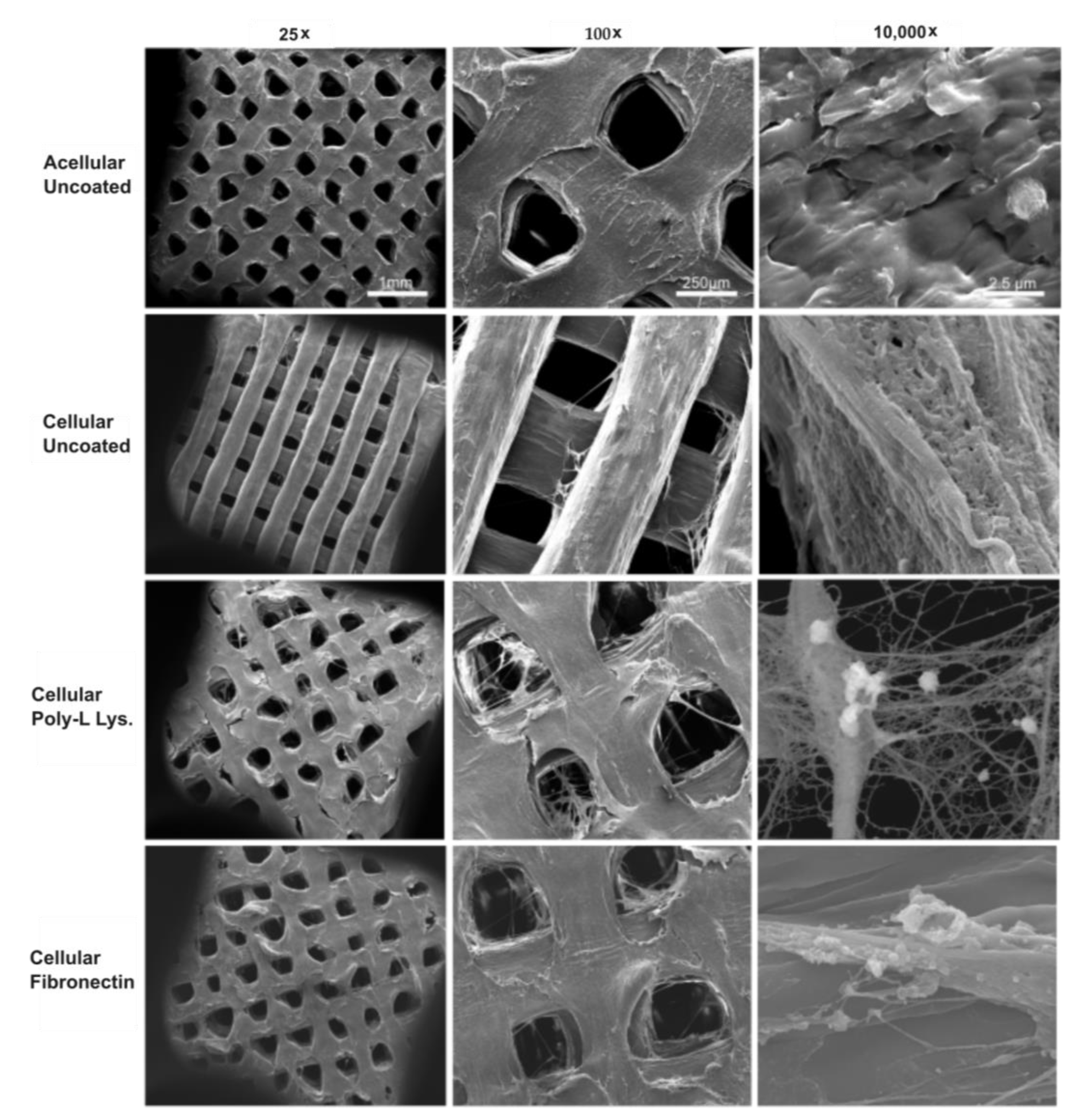 Surgeries 04 00021 g003