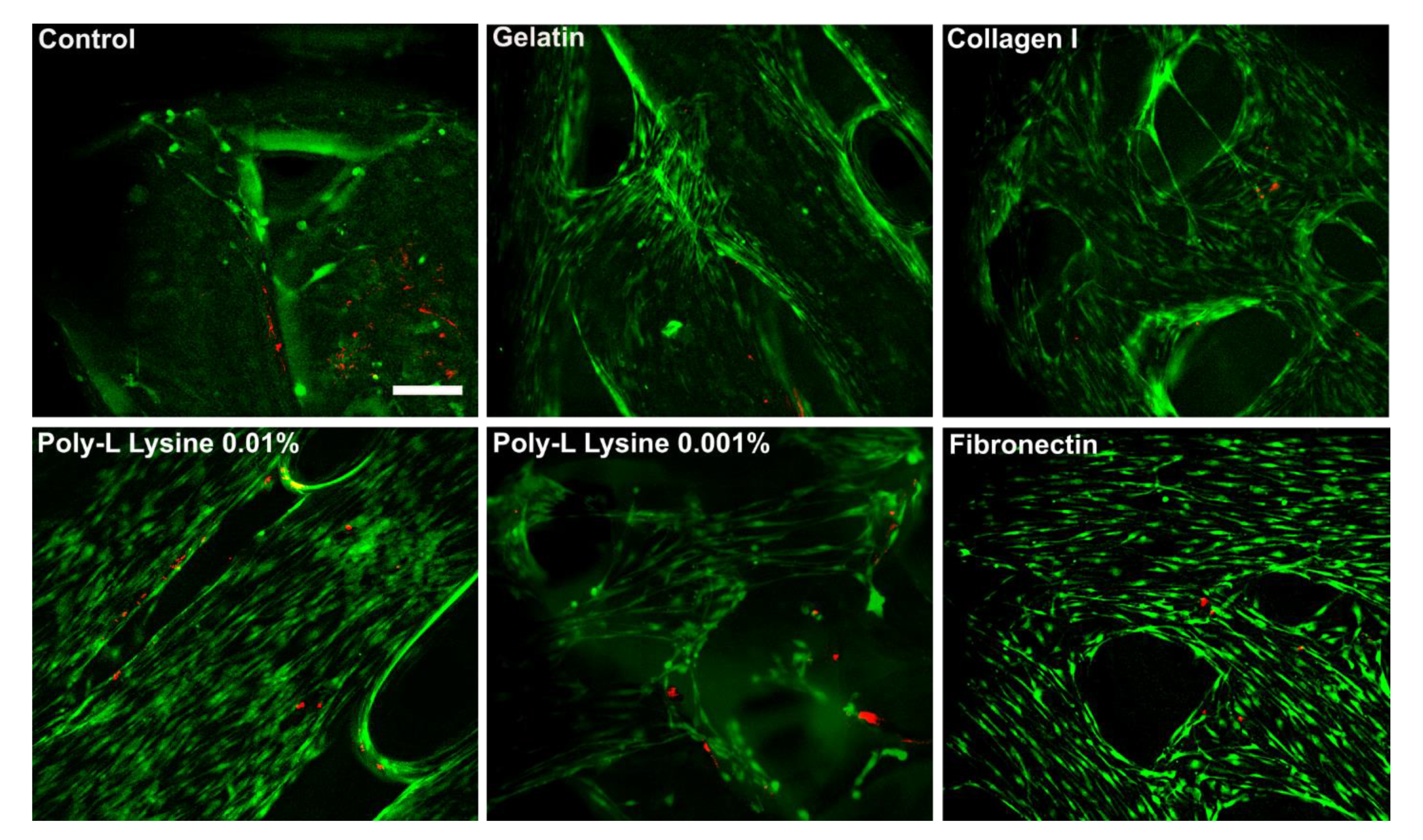 Surgeries 04 00021 g006
