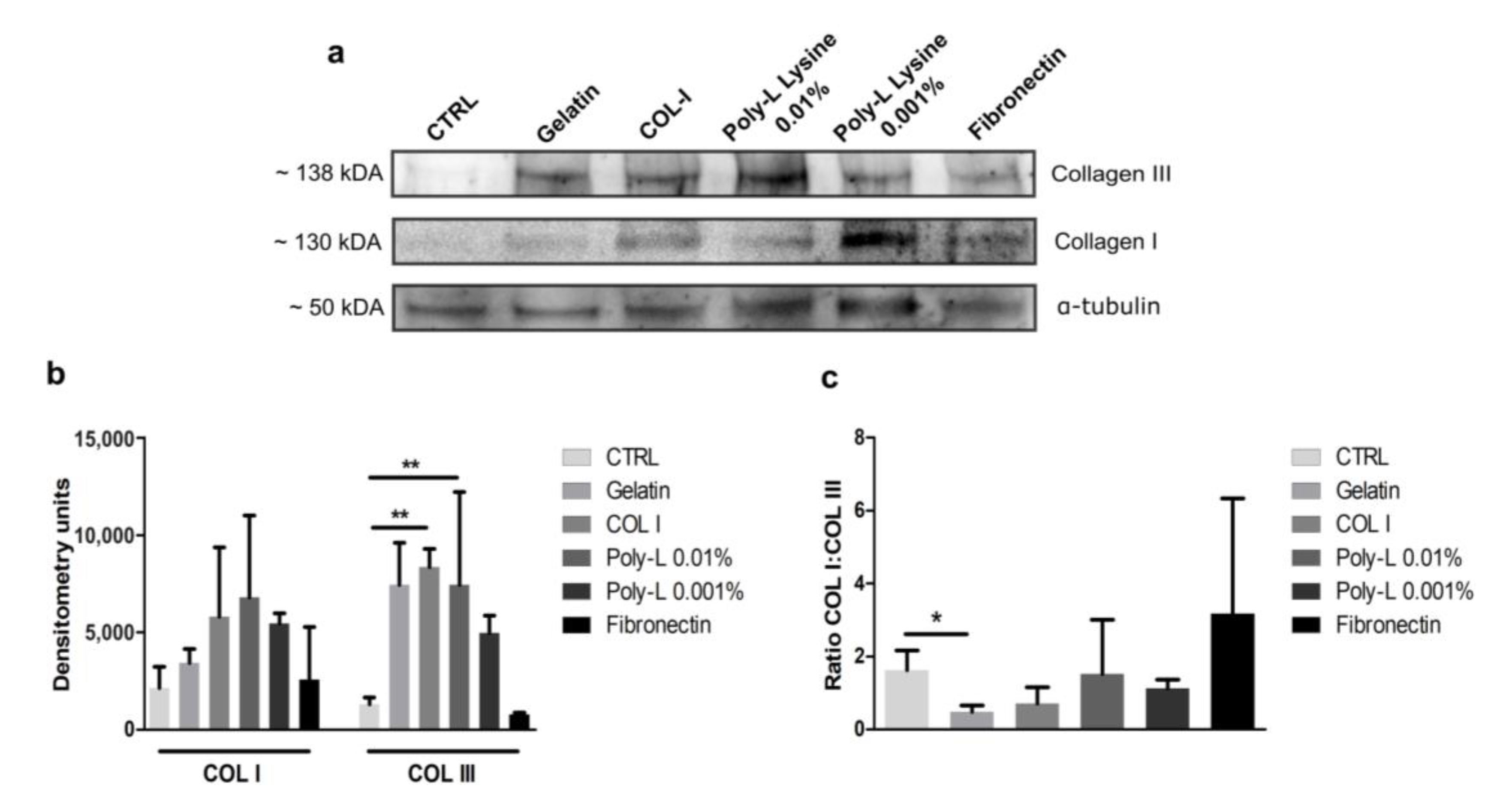 Surgeries 04 00021 g008