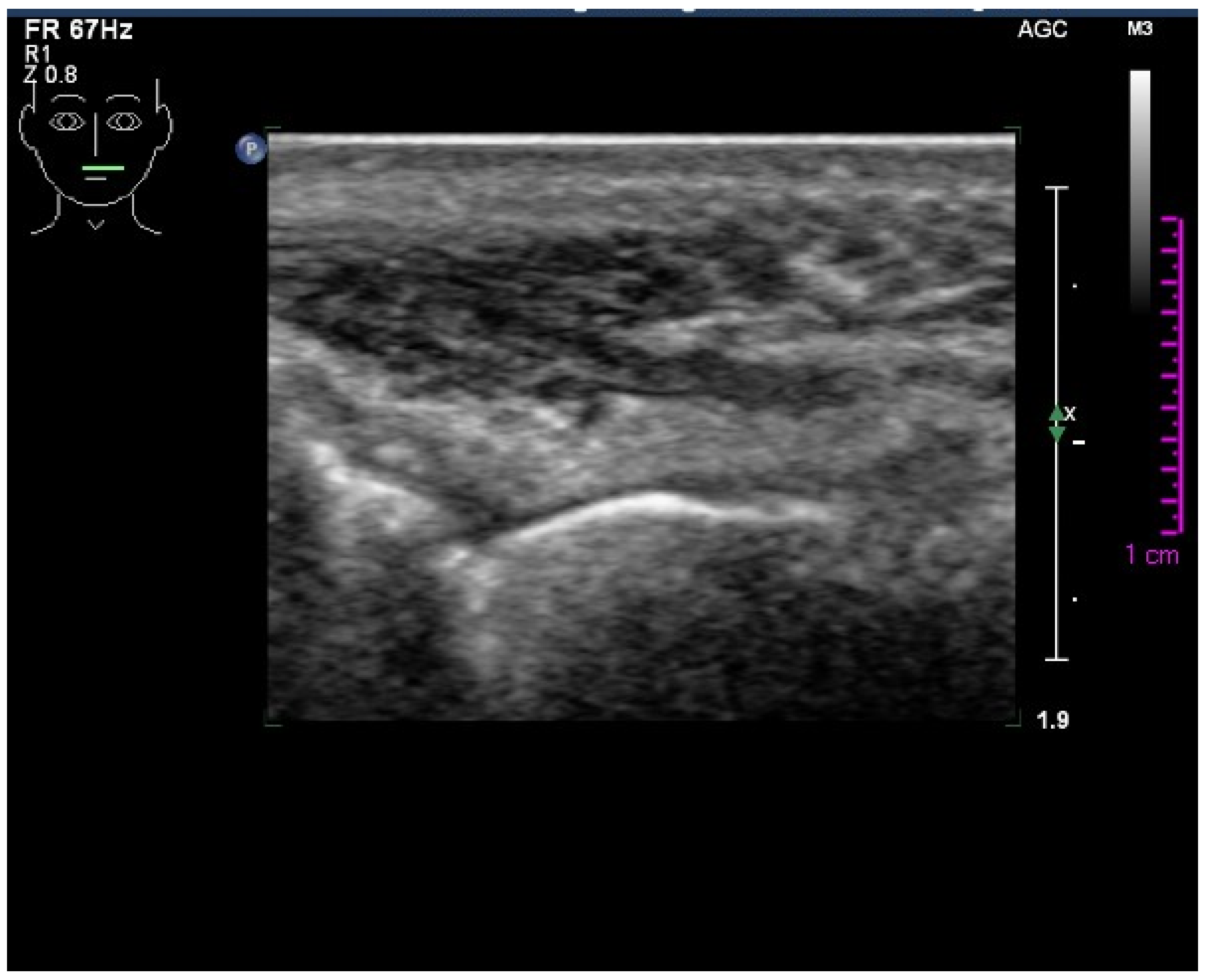 Surgeries 04 00023 g002