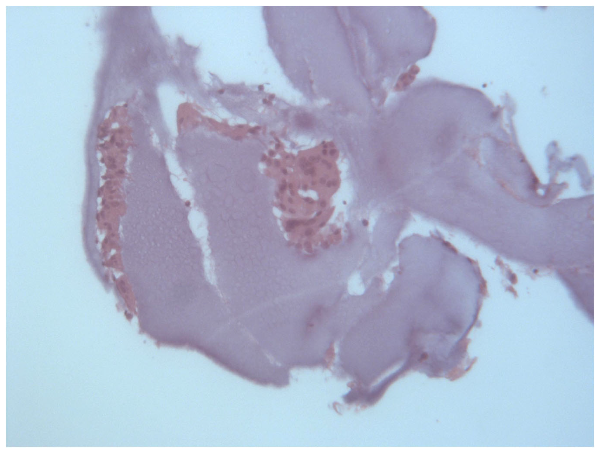 Surgeries 04 00023 g004