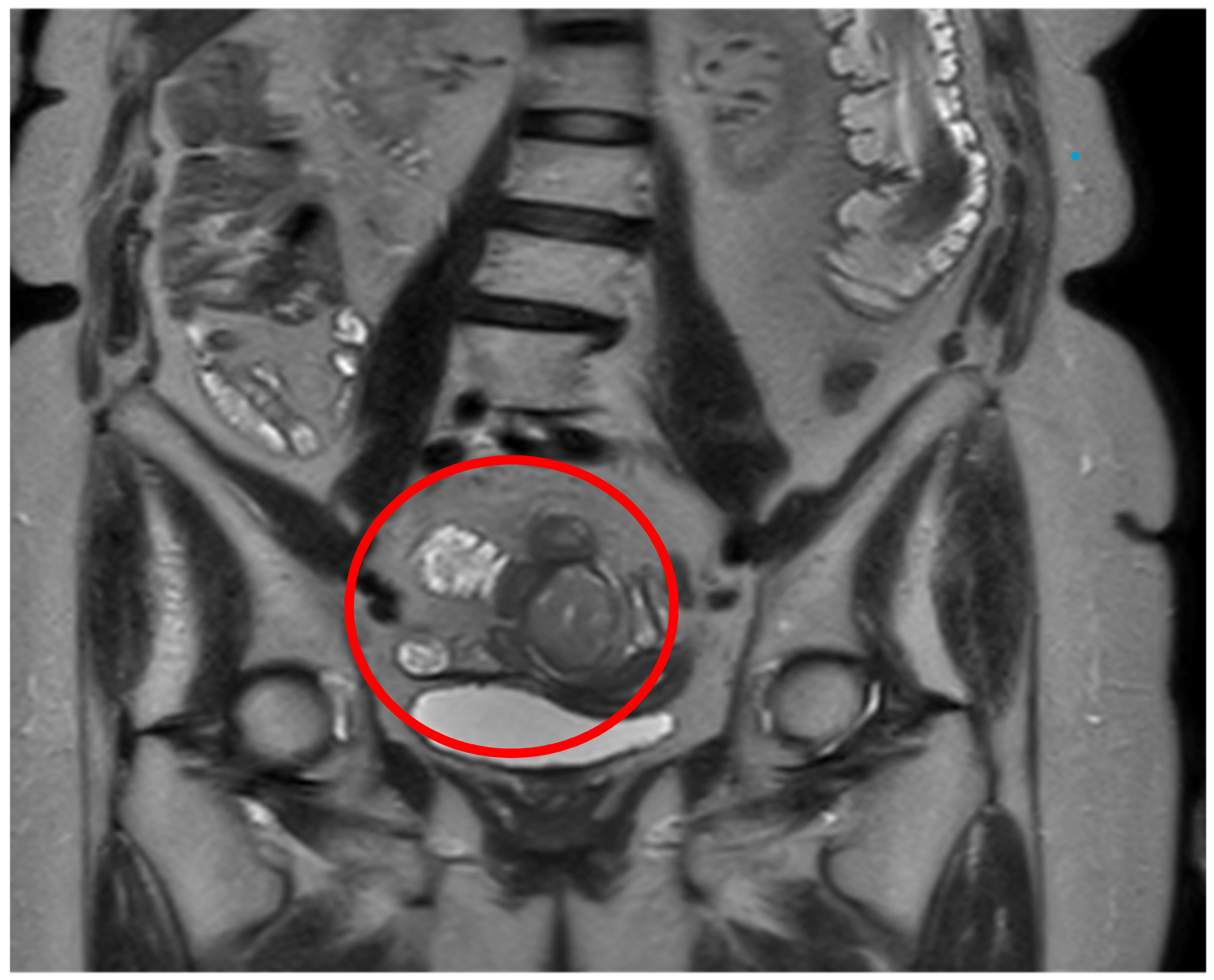 Surgeries 04 00024 g002