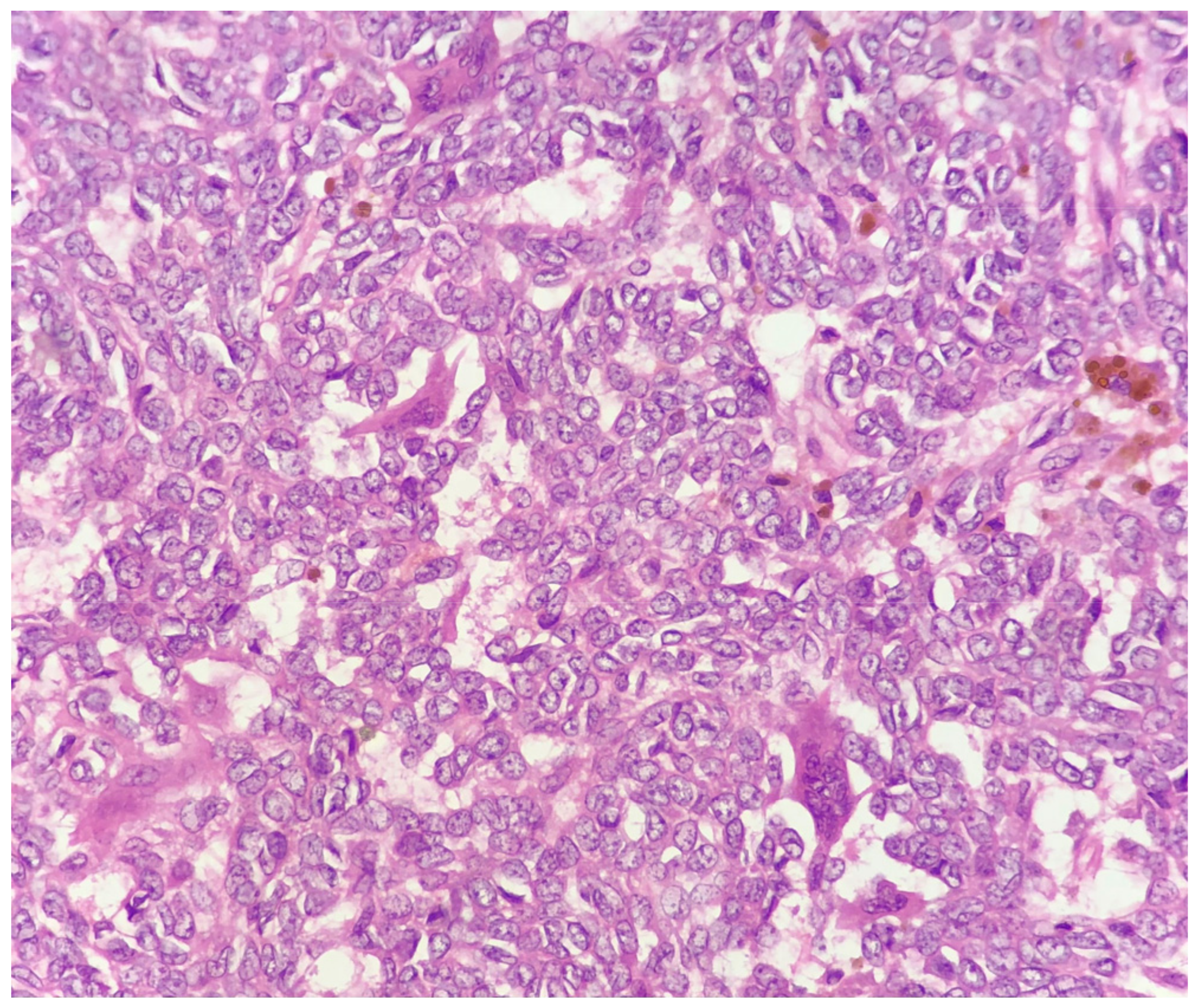 Surgeries 04 00024 g004