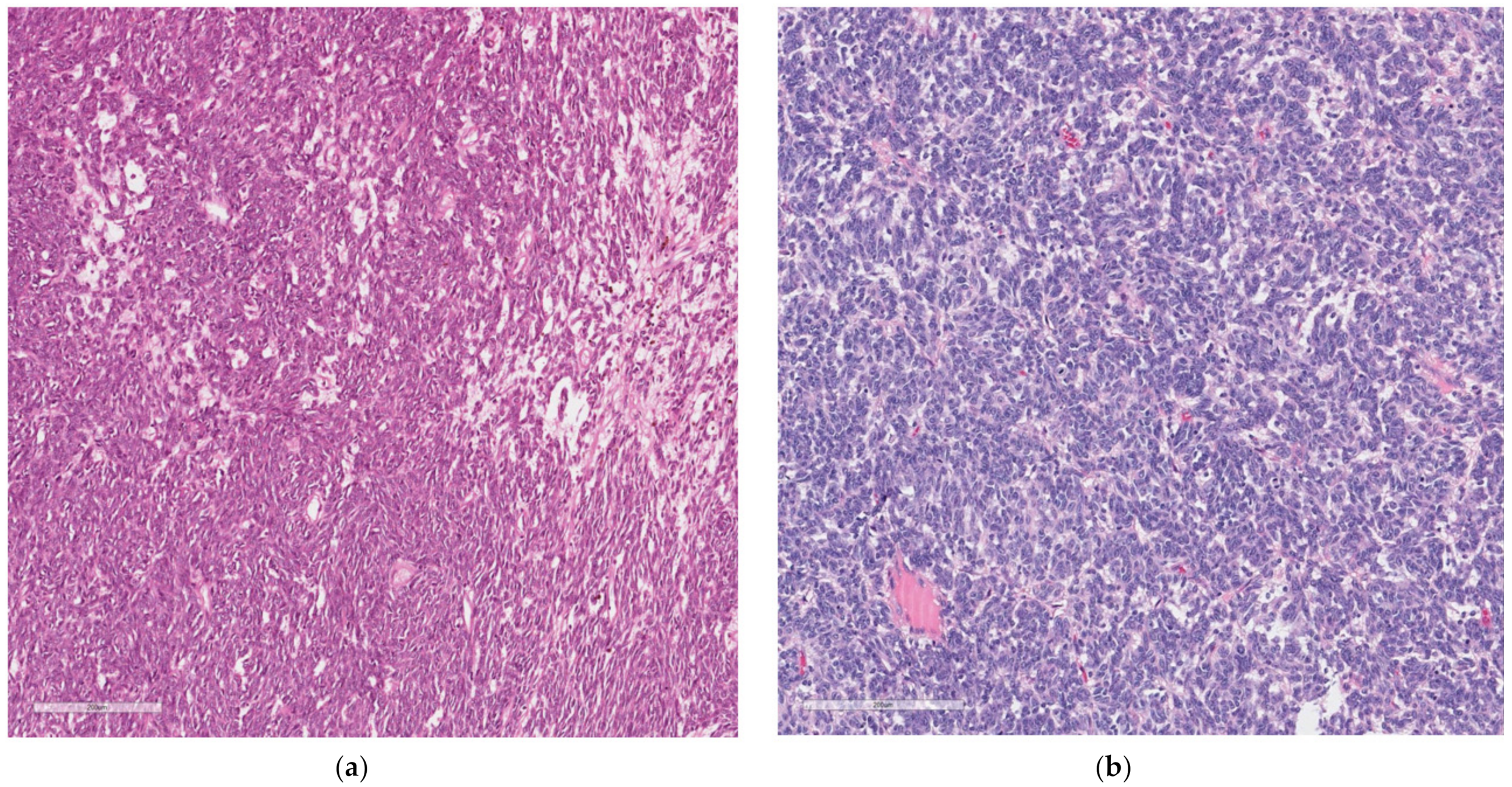 Surgeries 04 00024 g005