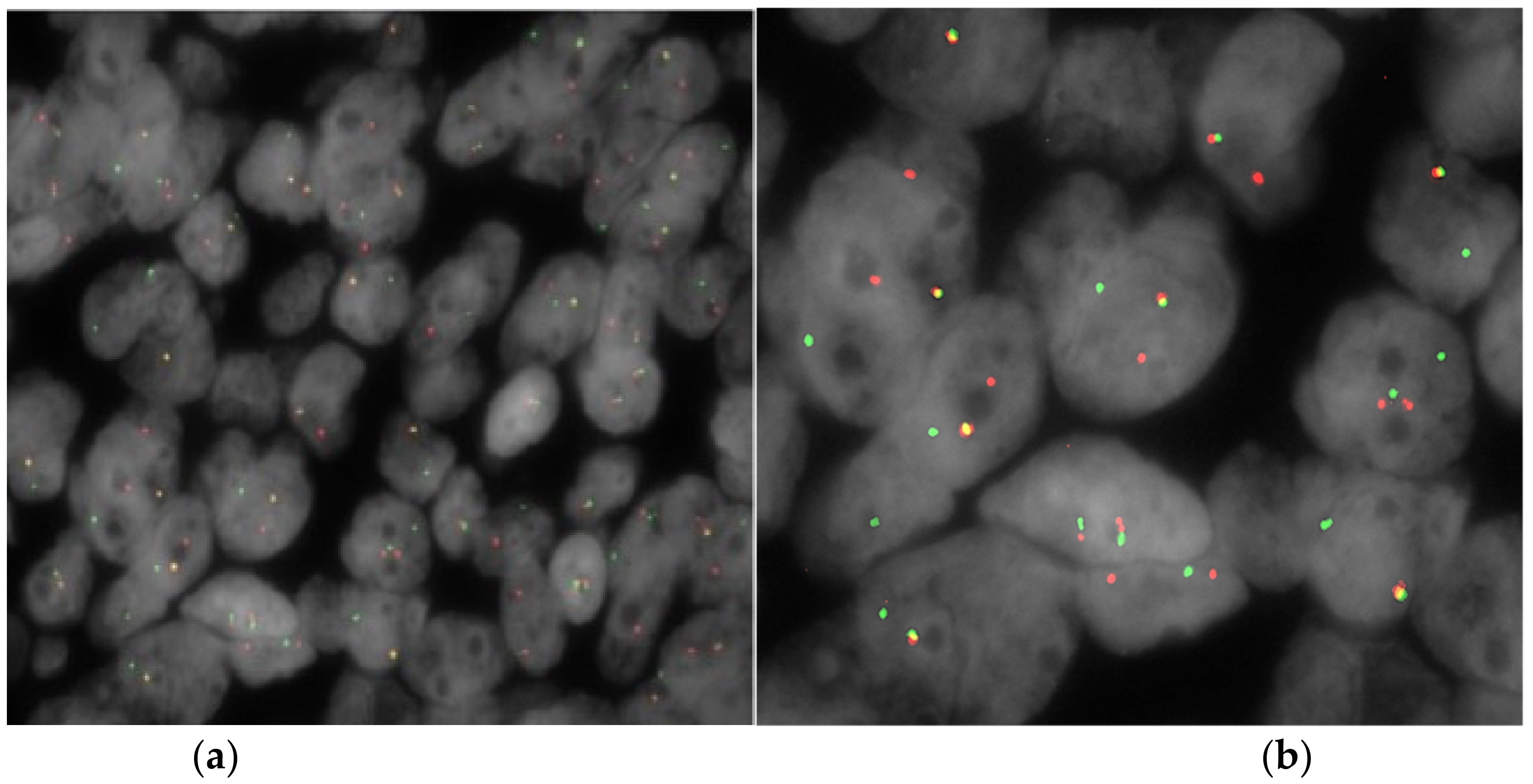 Surgeries 04 00024 g007