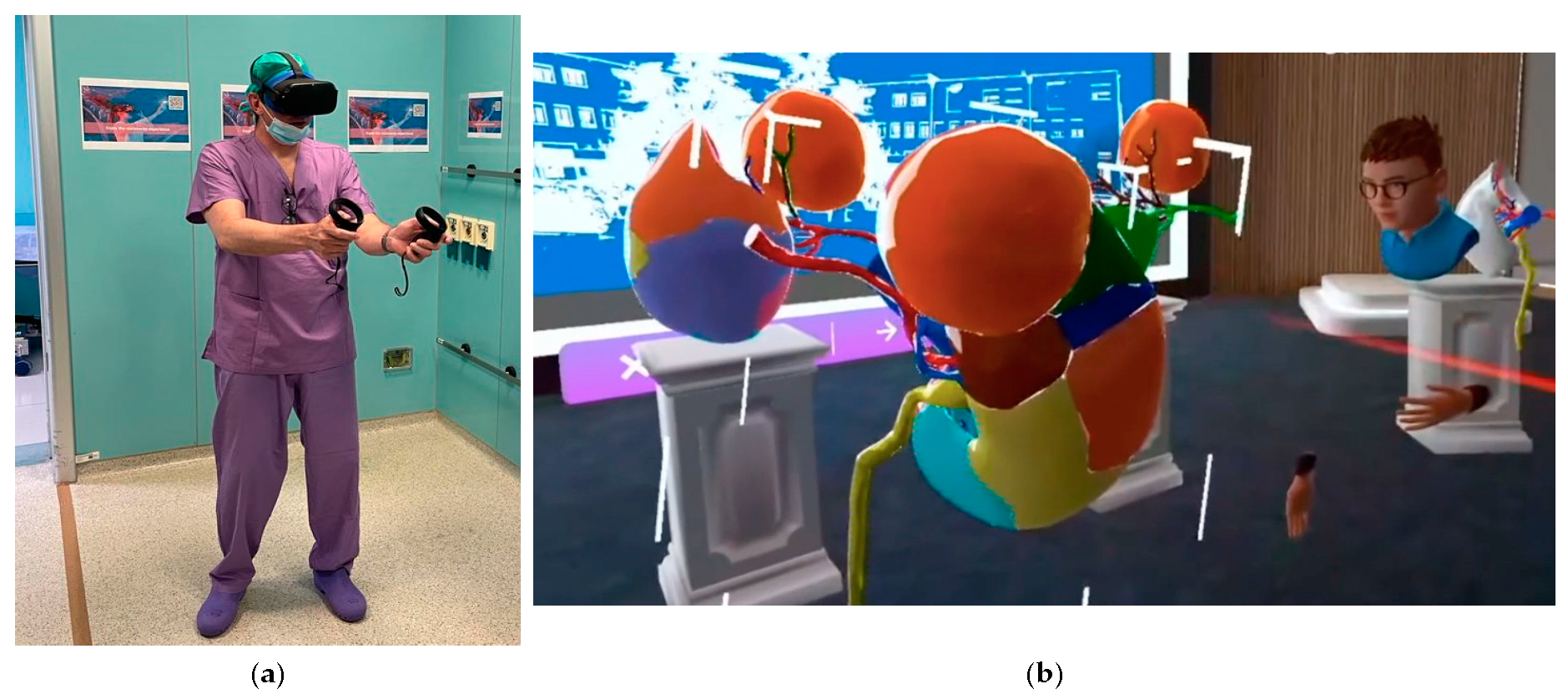 Surgeries 04 00033 g001