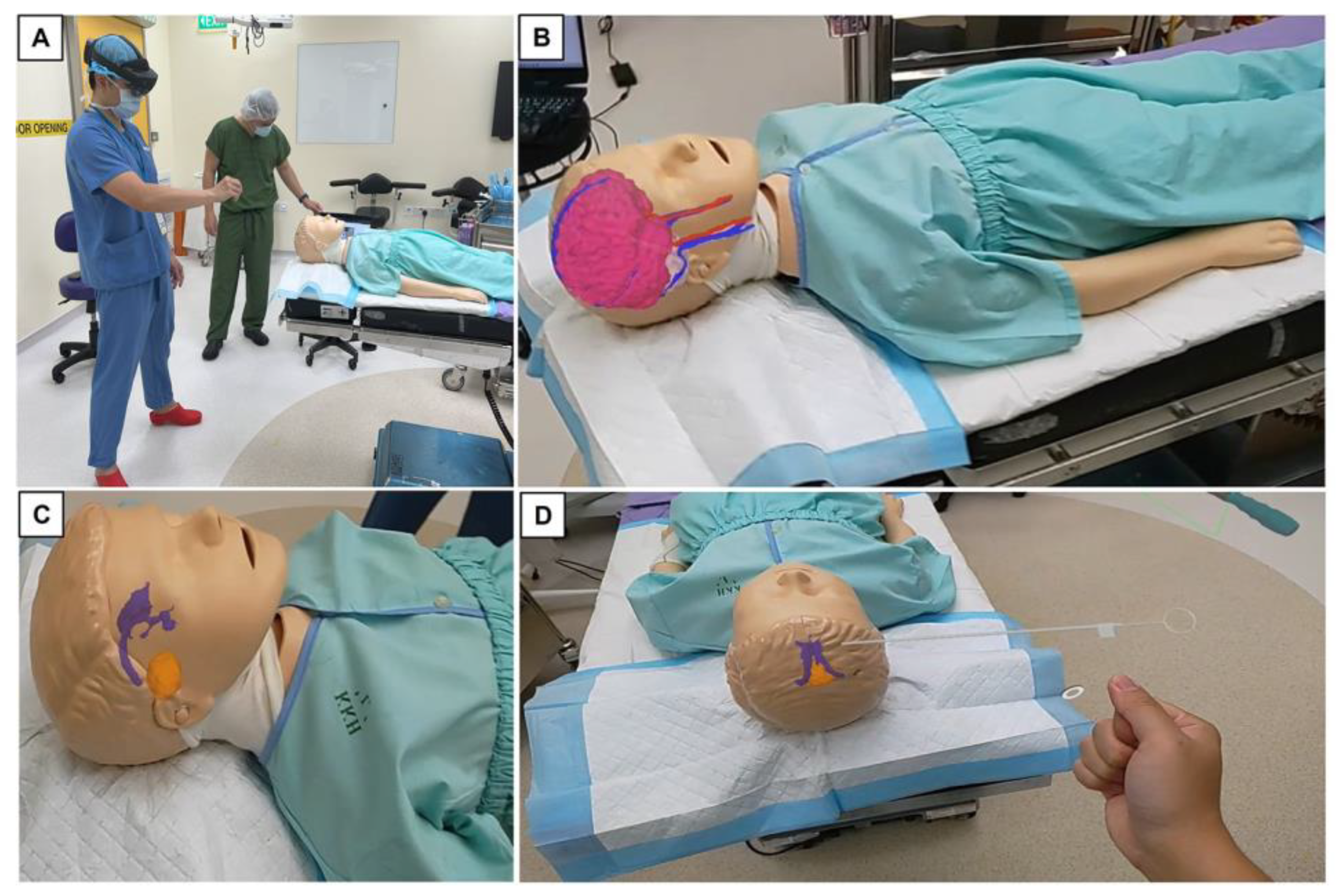 Surgeries 04 00036 g004