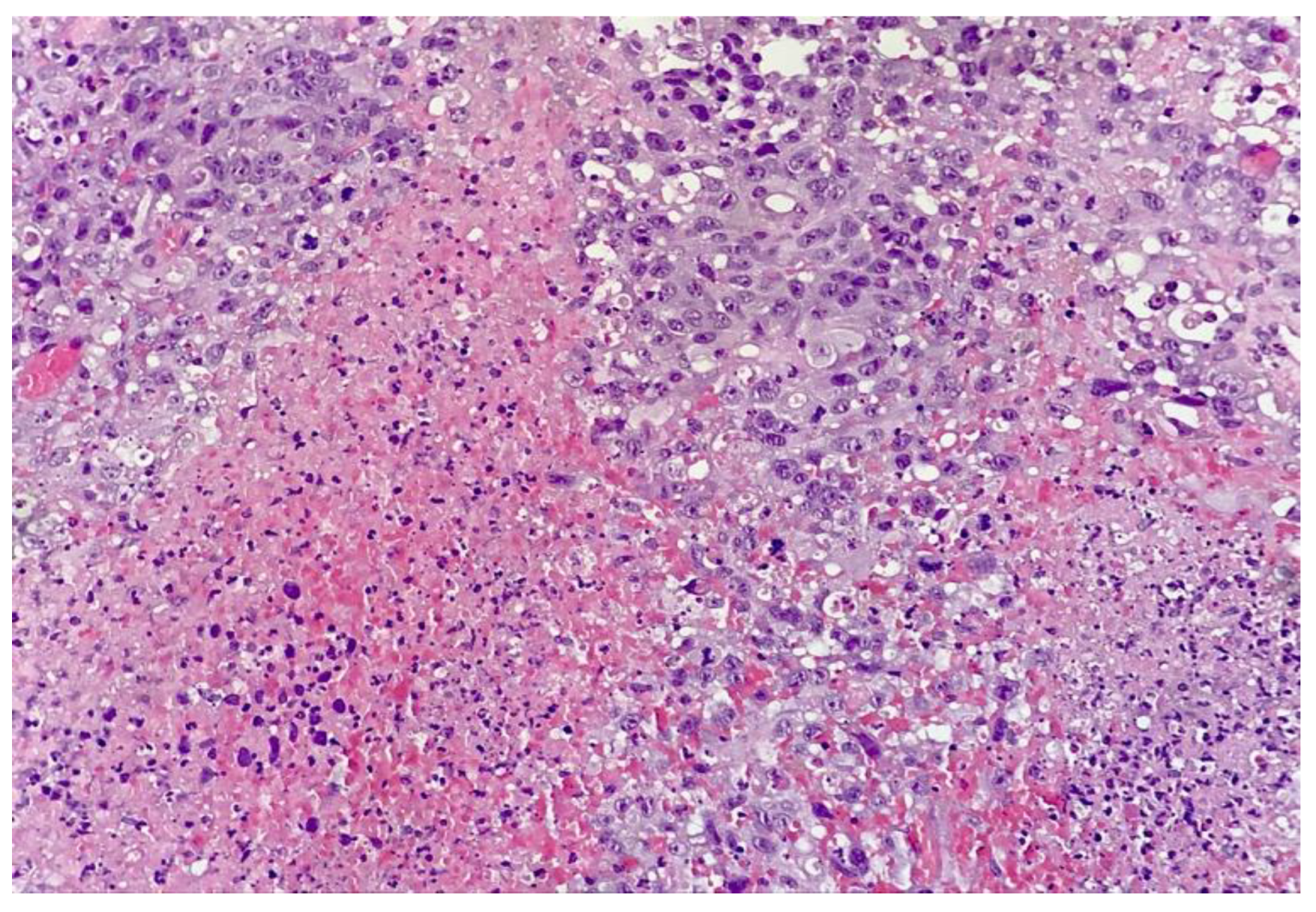 Surgeries 04 00038 g005 Surgeries 04 00038 g005