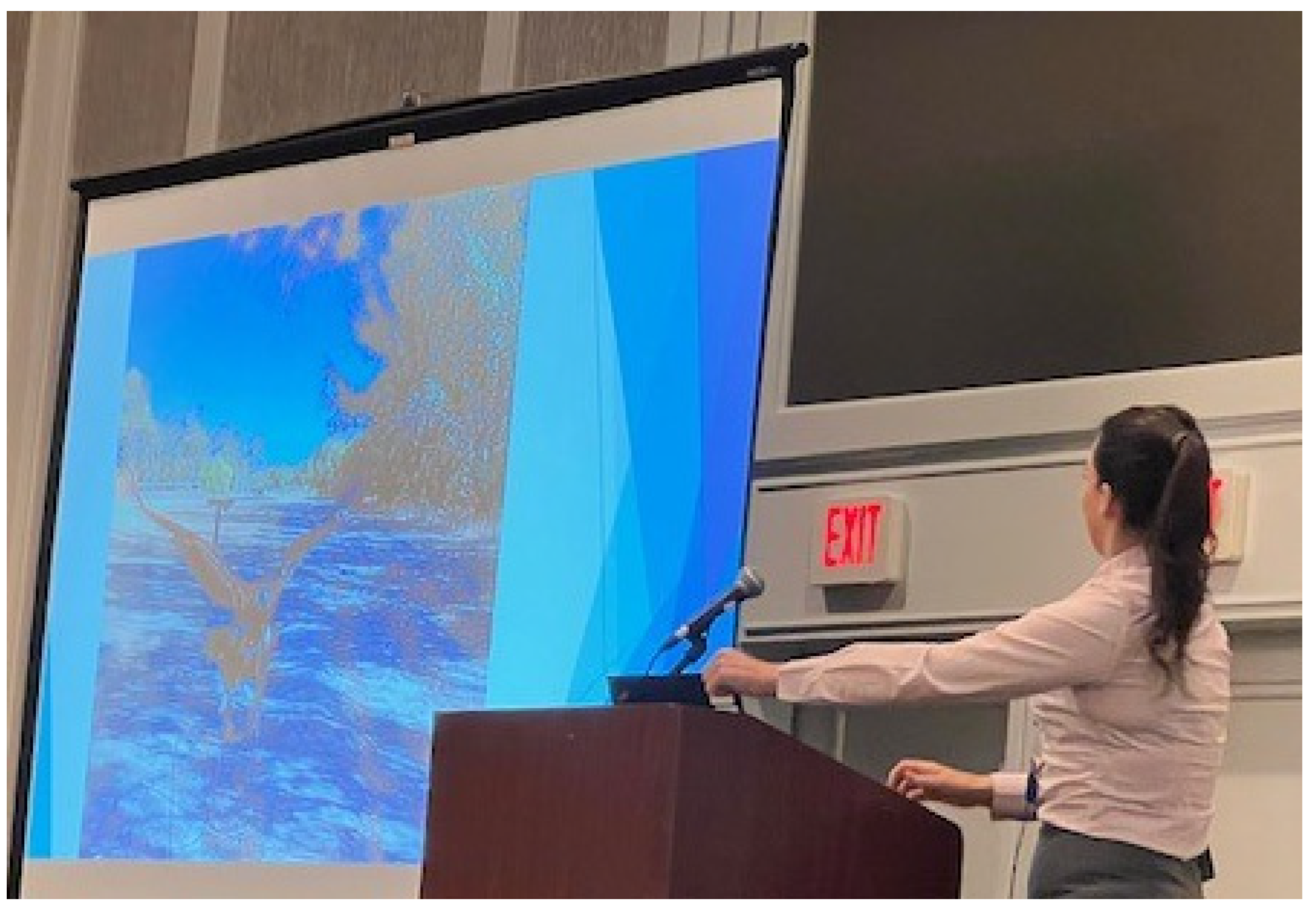 Surgeries 04 00040 g001