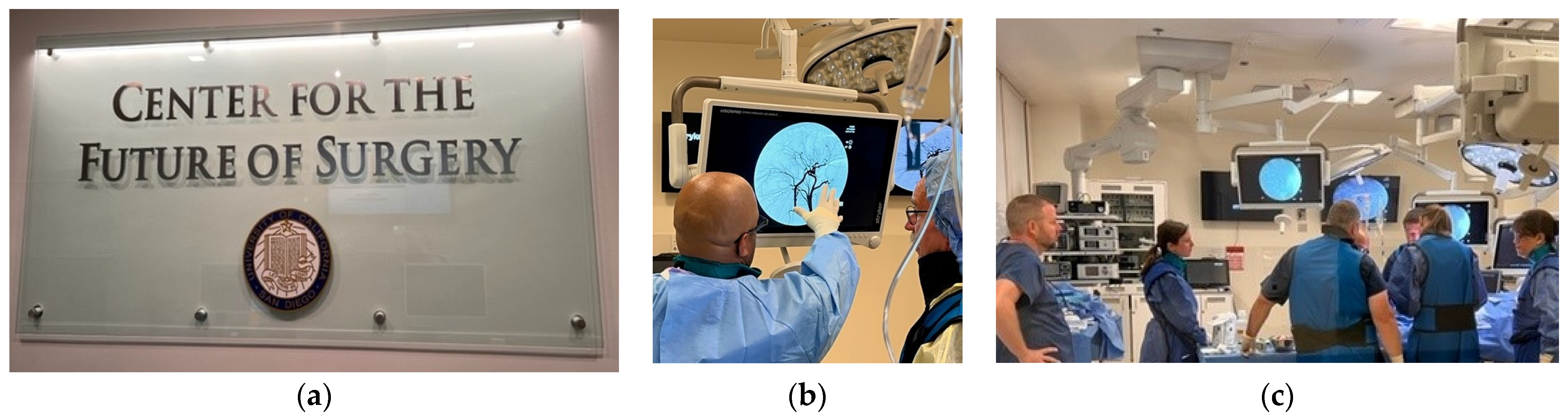 Surgeries 04 00040 g002