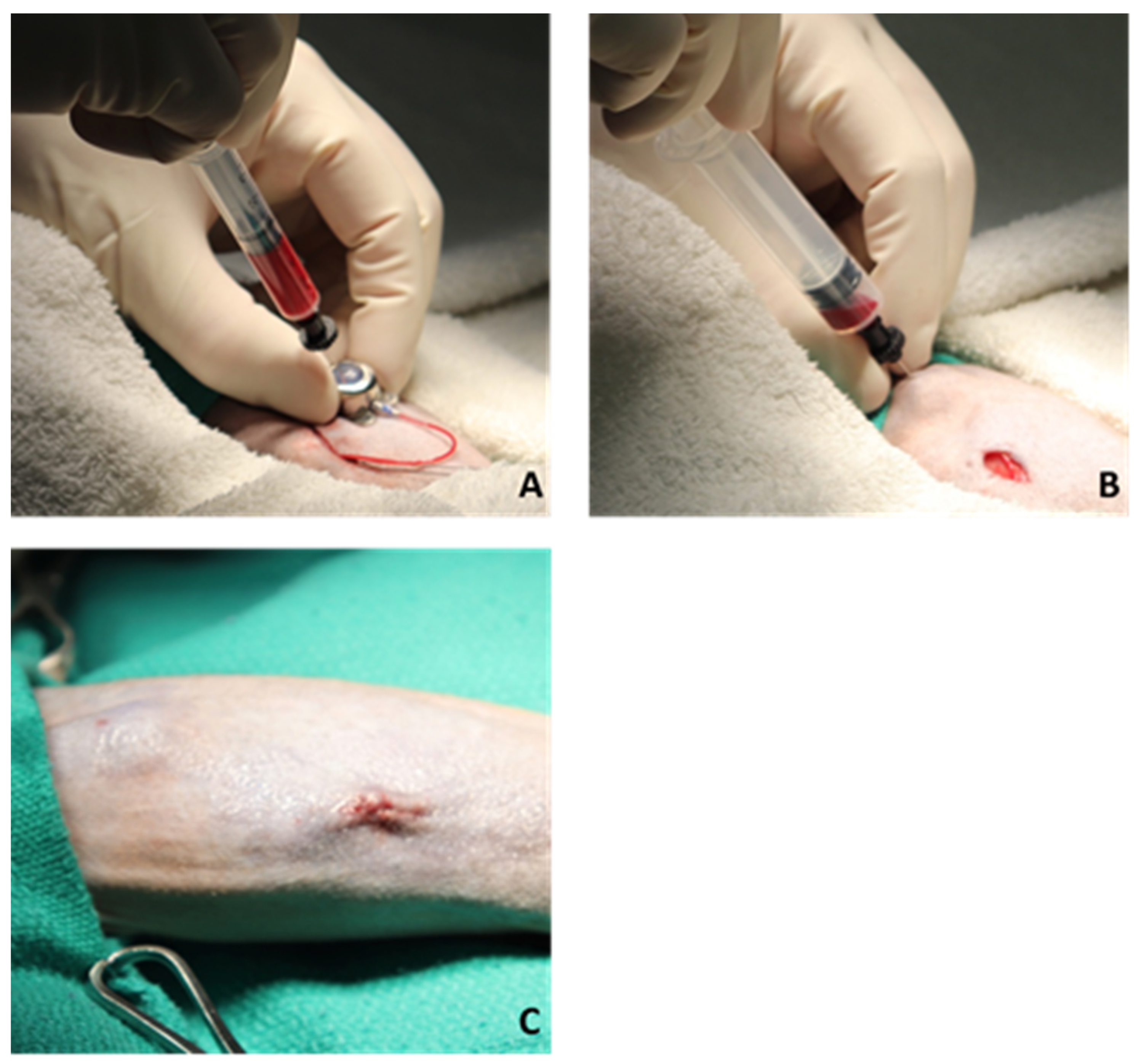 Surgeries 04 00044 g005