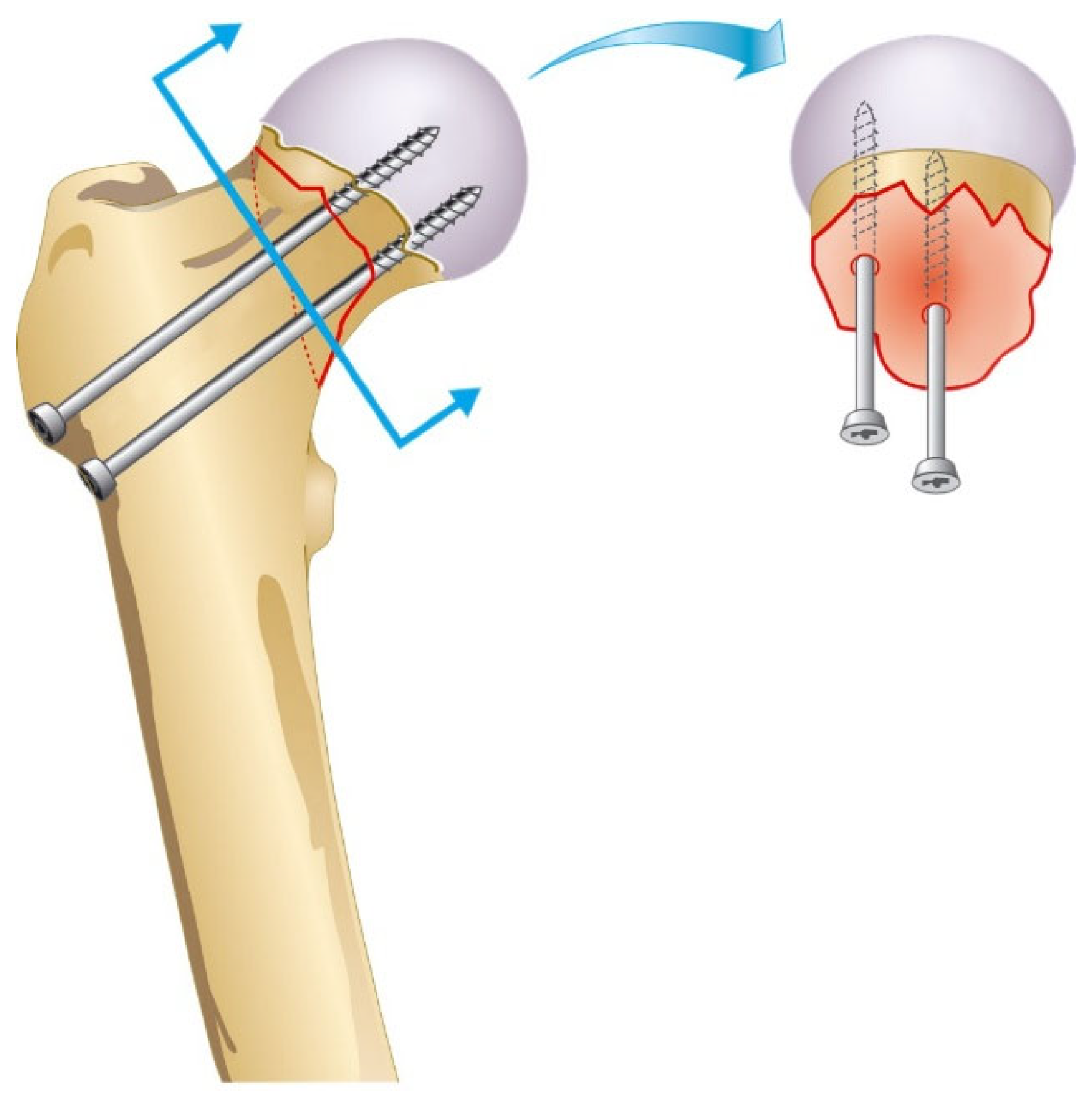 Surgeries 04 00048 g002