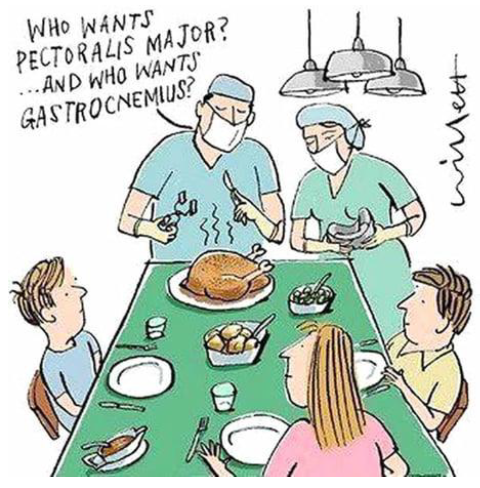 Surgeries 05 00001 g001 Surgeries 05 00001 g001