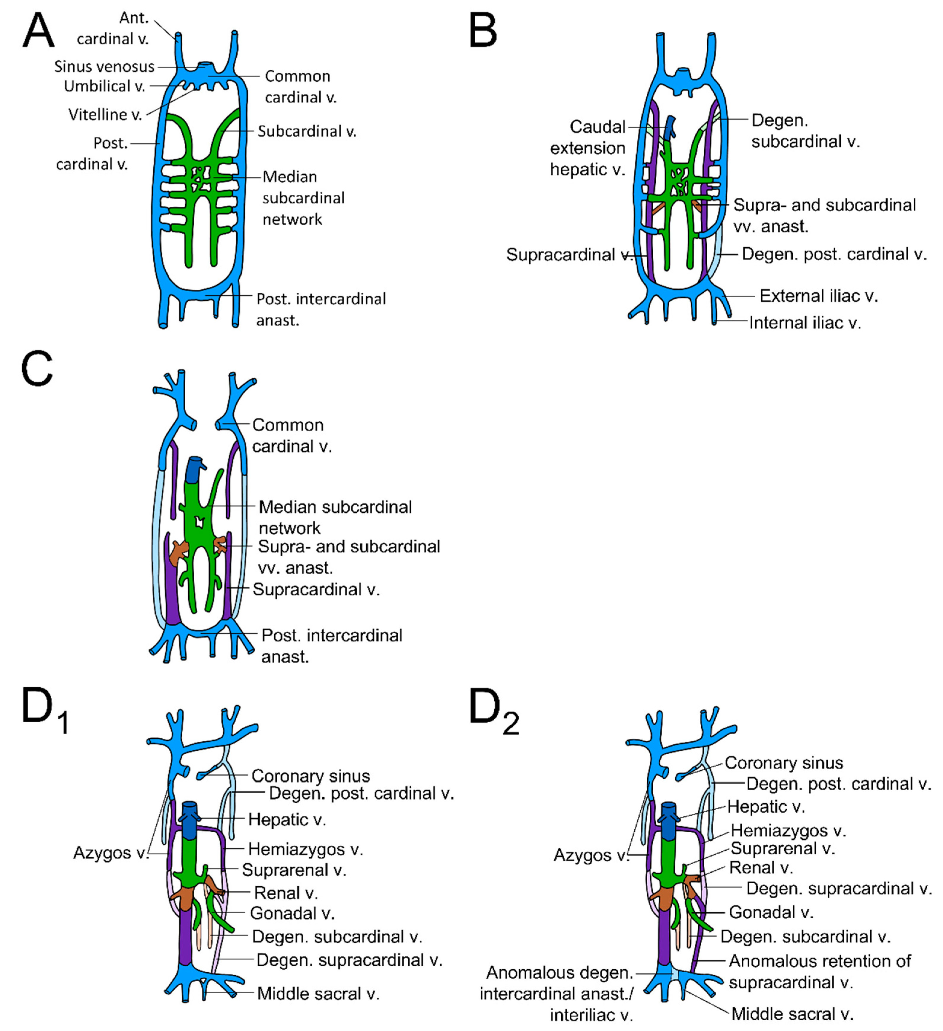 Surgeries 05 00003 g002