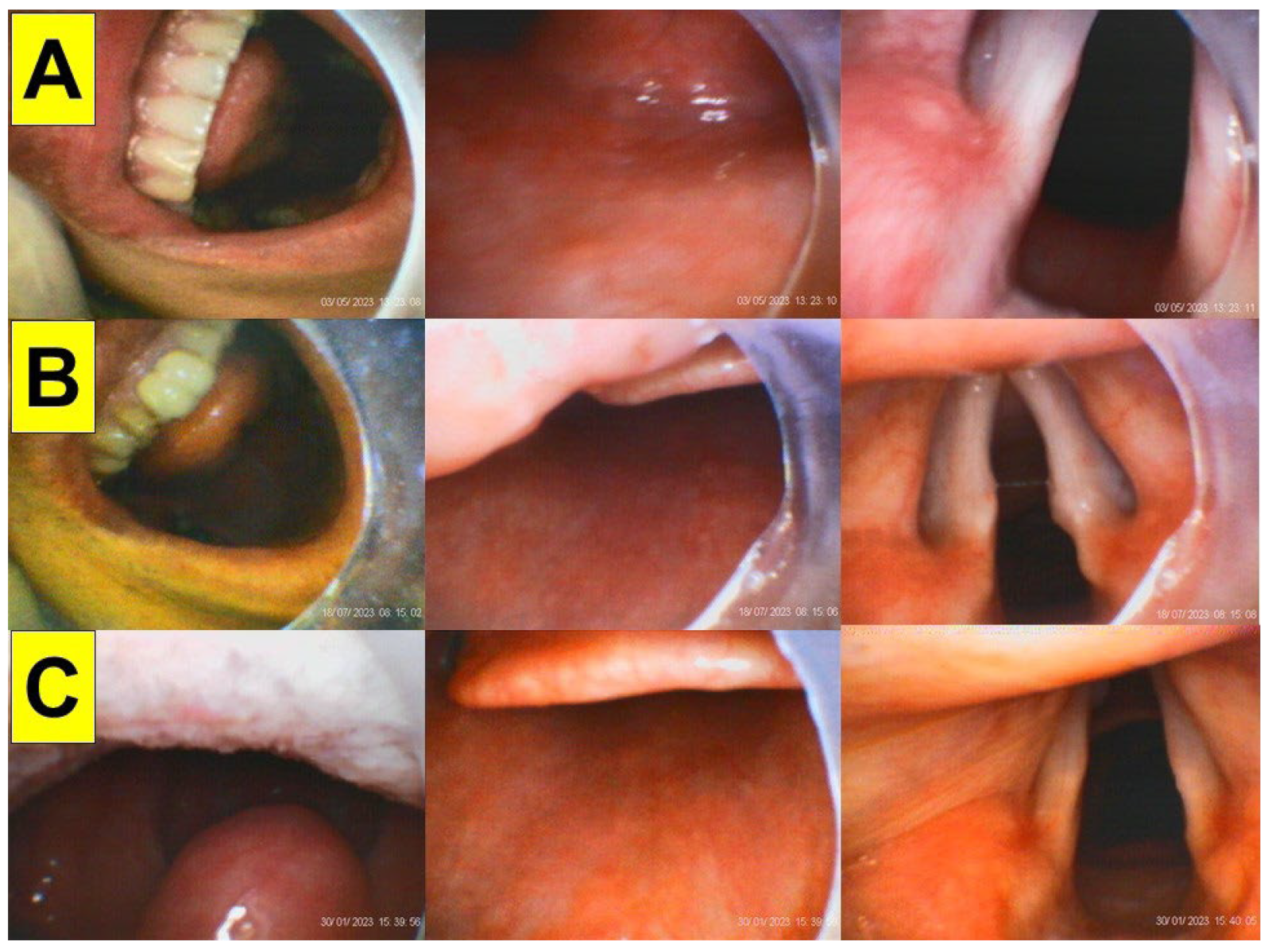 Surgeries 05 00015 g008