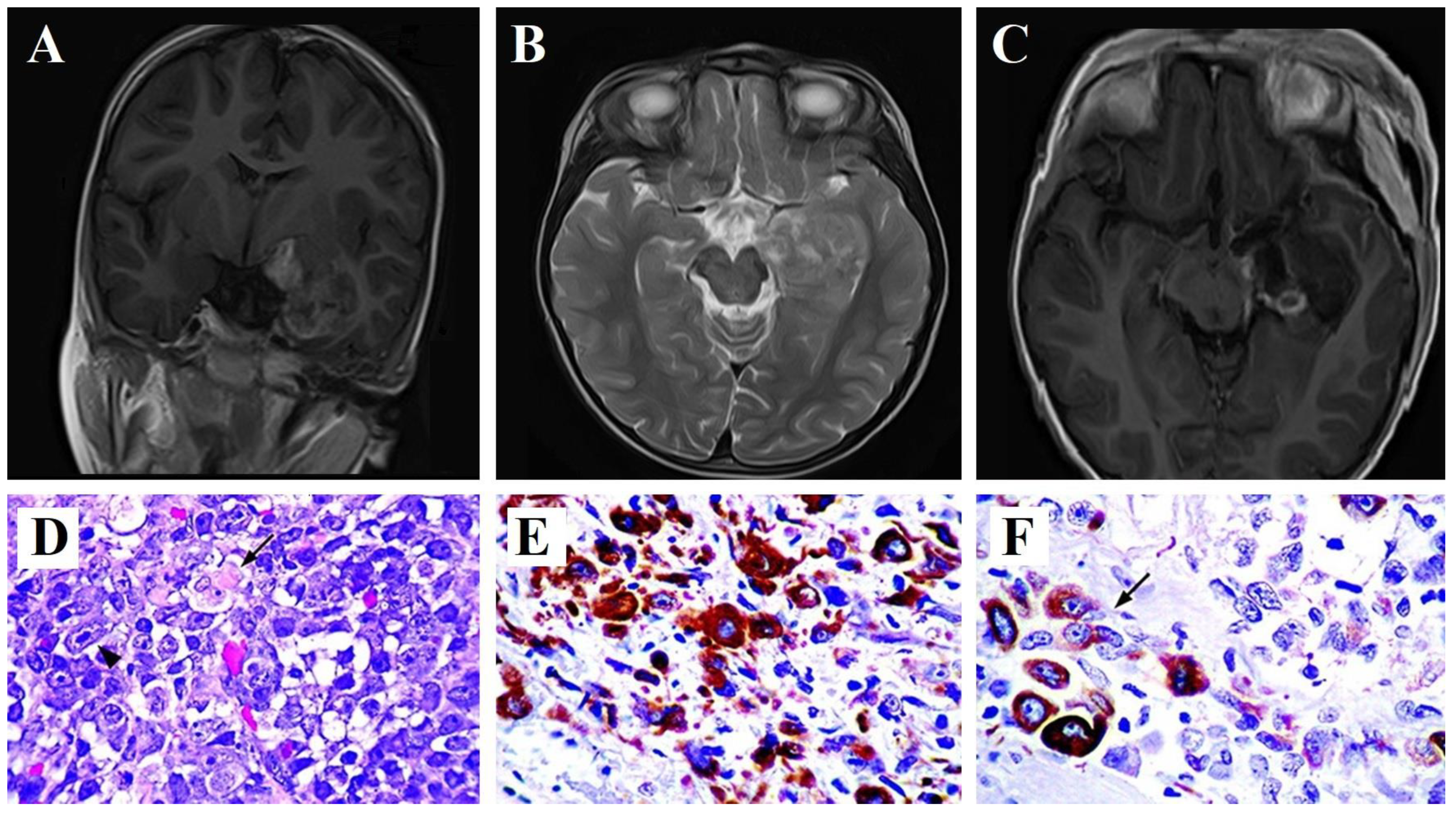 Surgeries 05 00018 g001