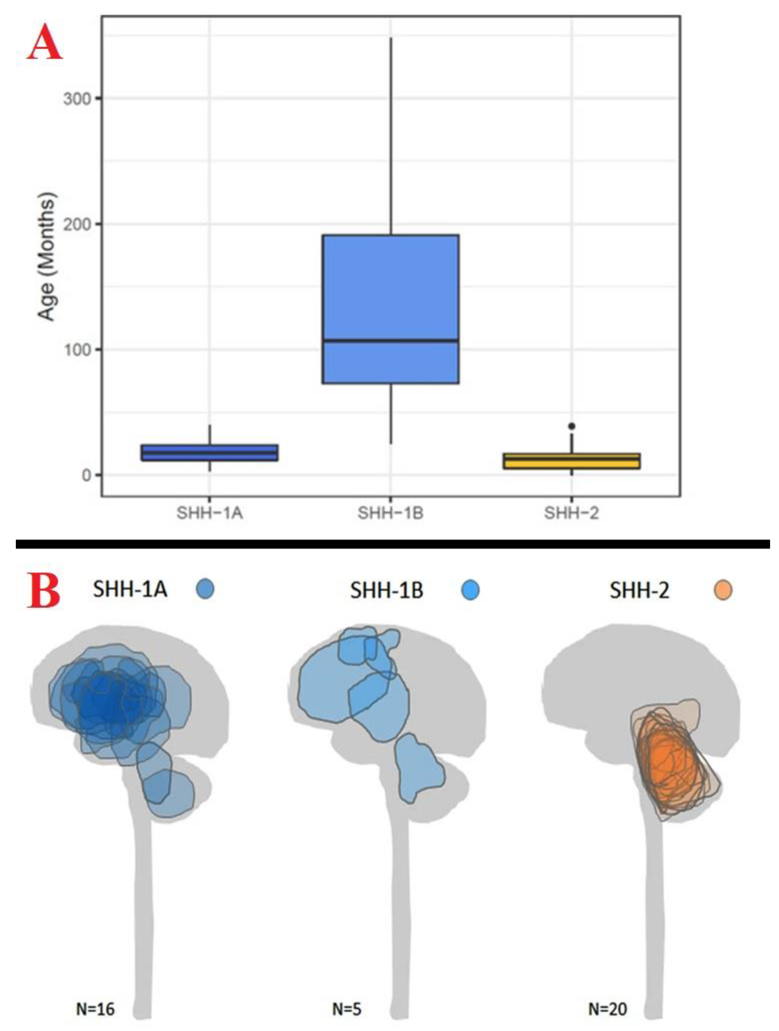 Surgeries 05 00018 g005