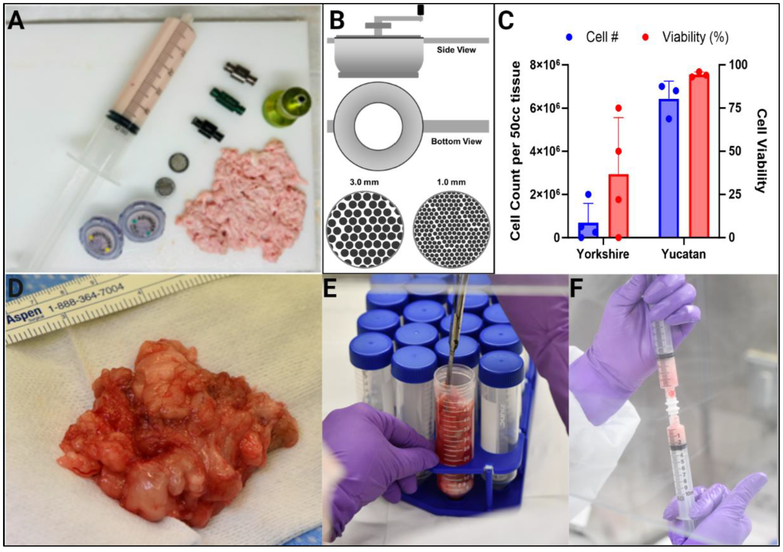 Surgeries 05 00020 g002