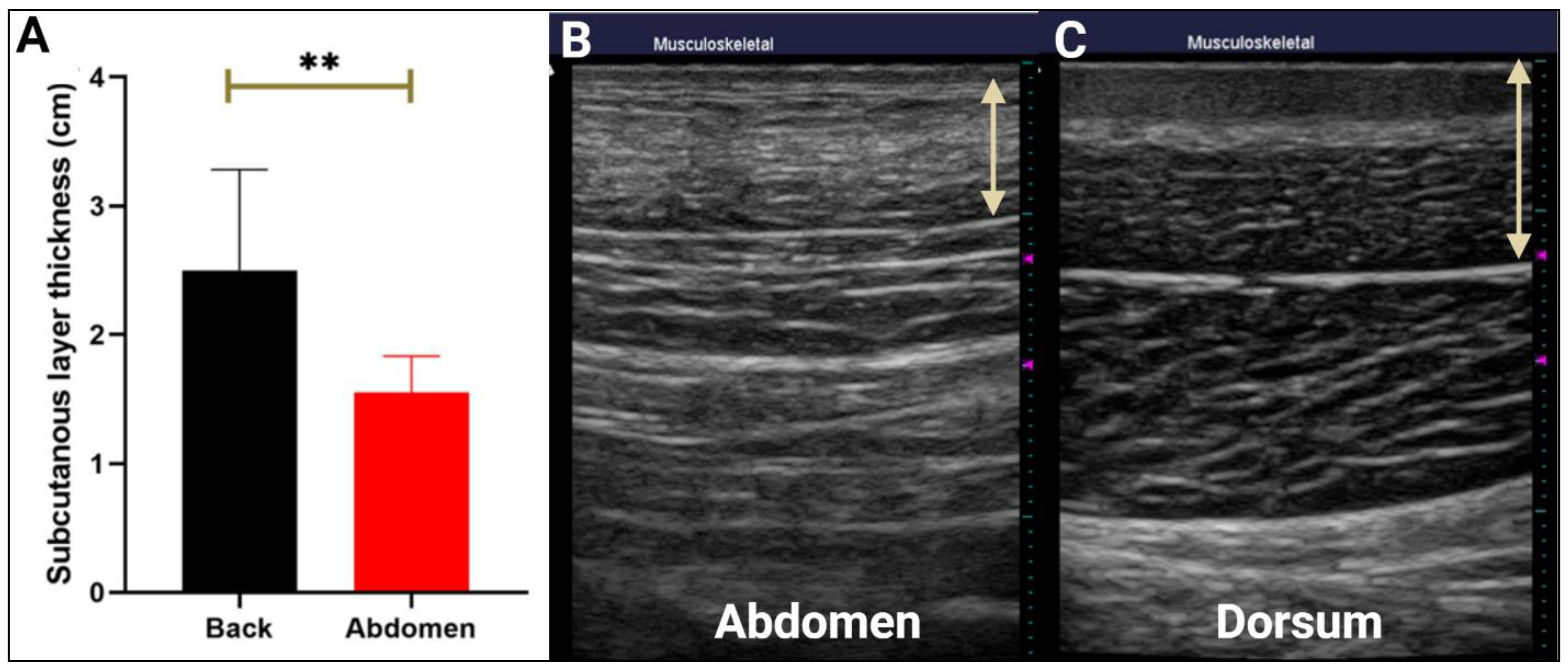 Surgeries 05 00020 g003