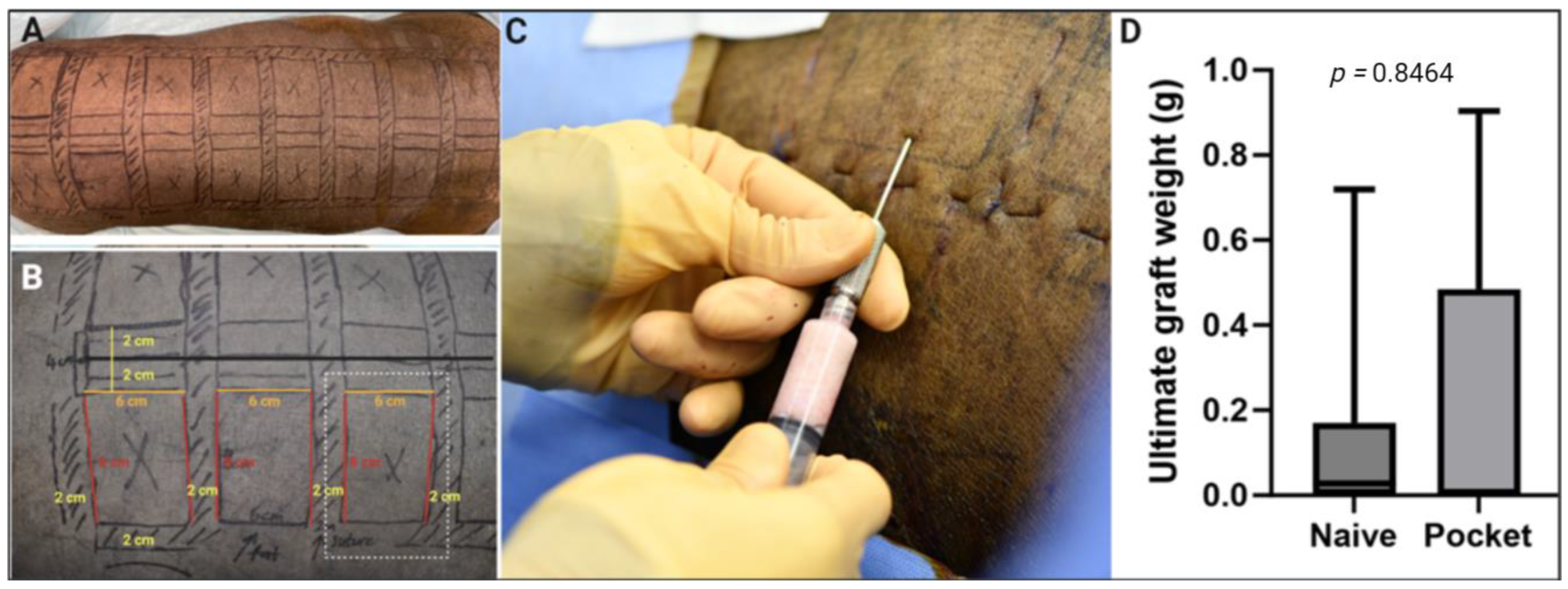 Surgeries 05 00020 g004