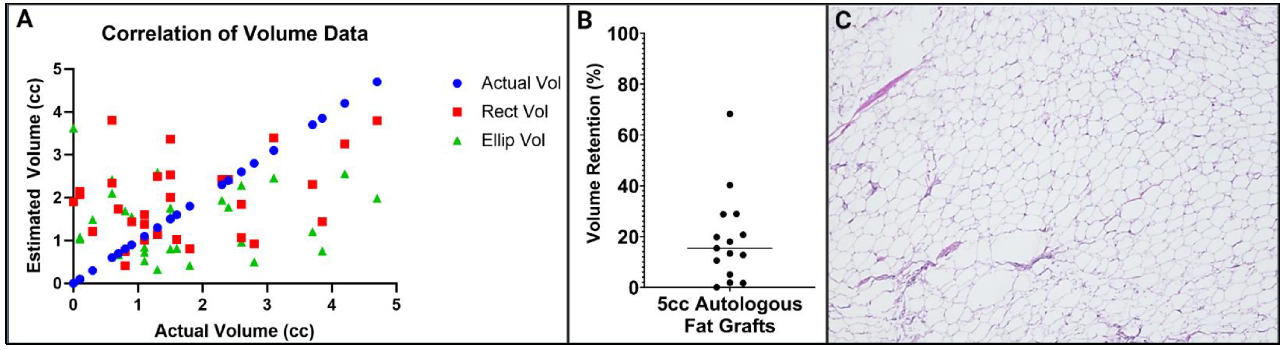 Surgeries 05 00020 g005