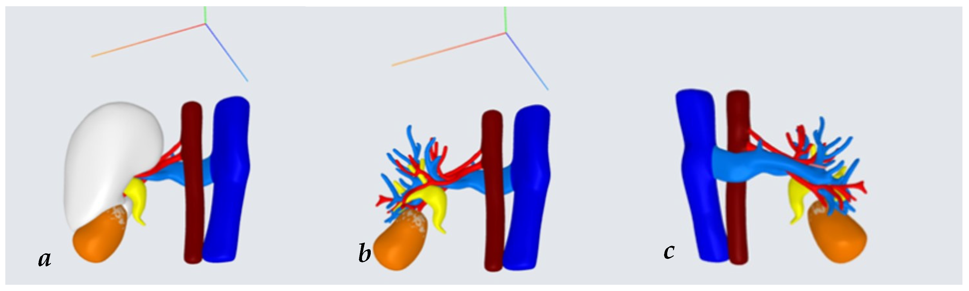 Surgeries 05 00034 g003
