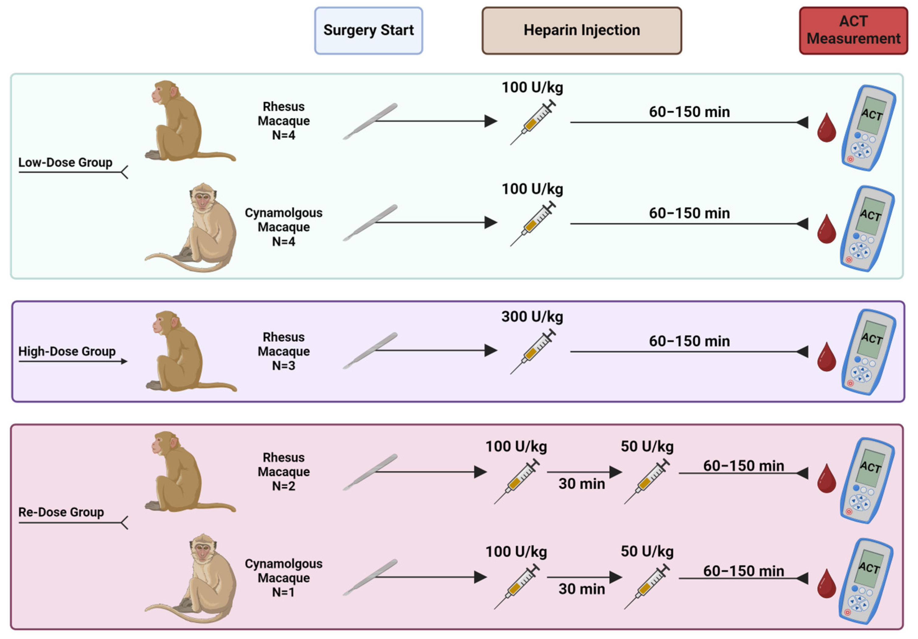 Surgeries 05 00035 g001