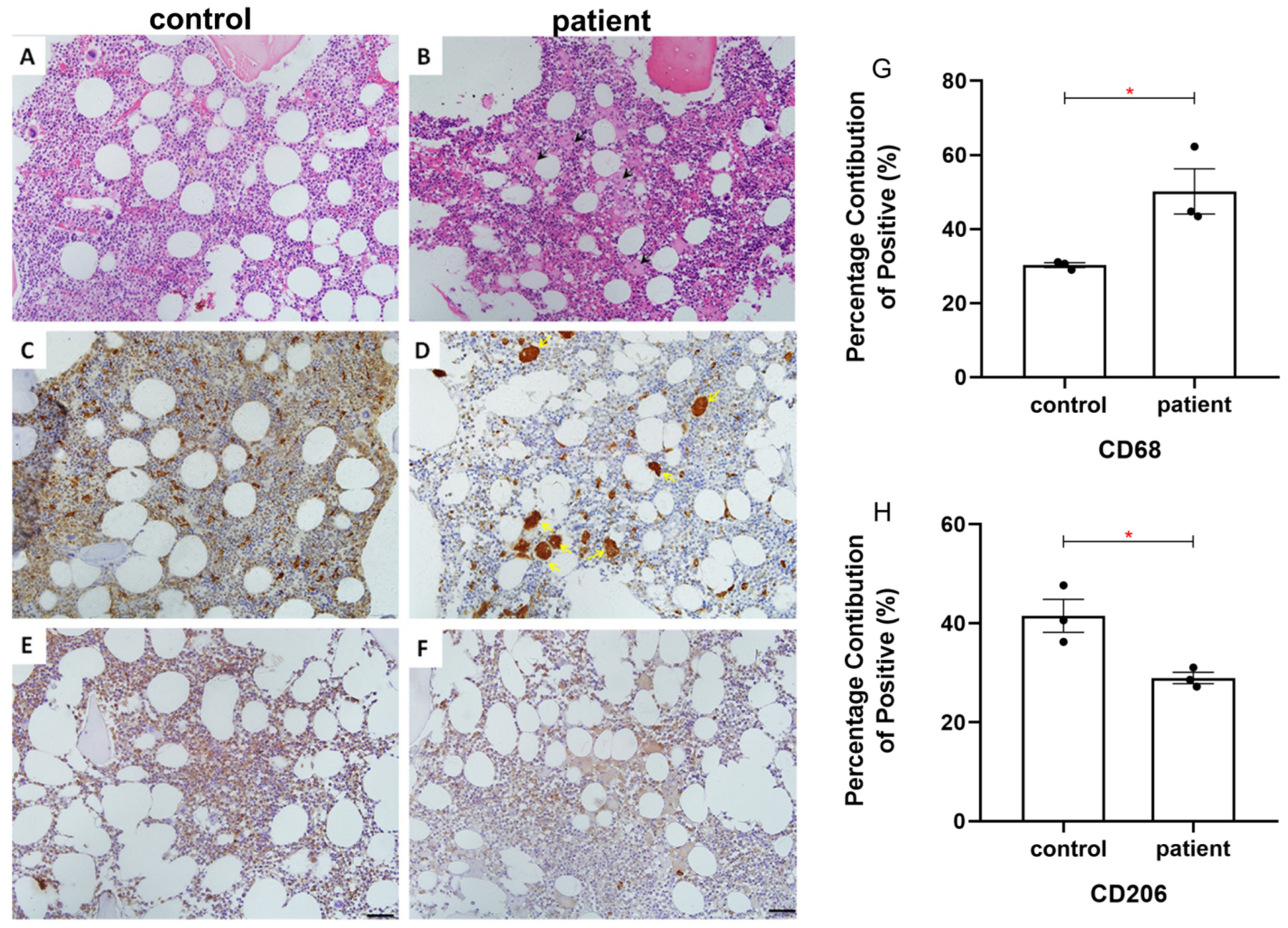 Surgeries 05 00049 g004
