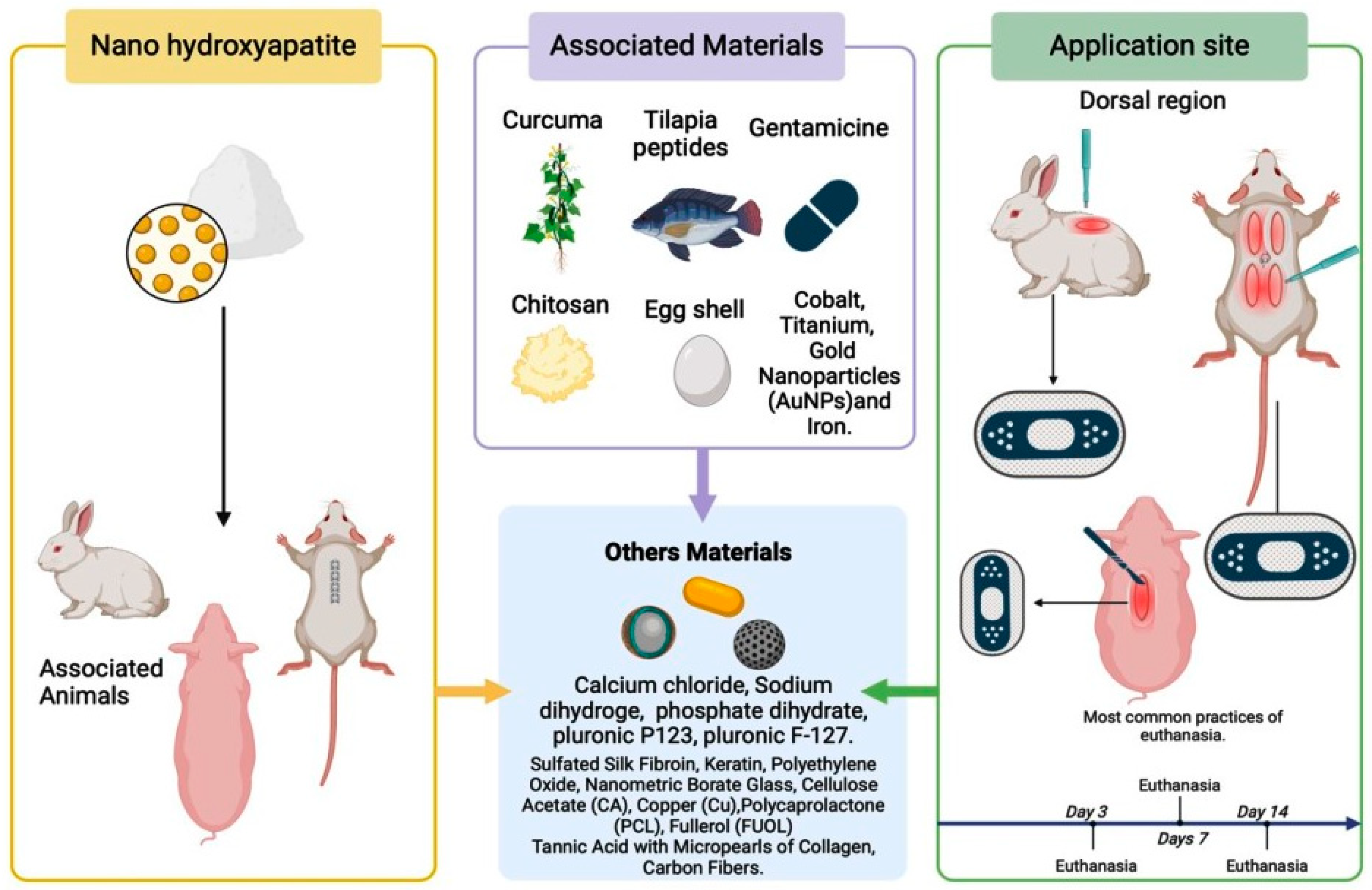 Surgeries 05 00051 g005