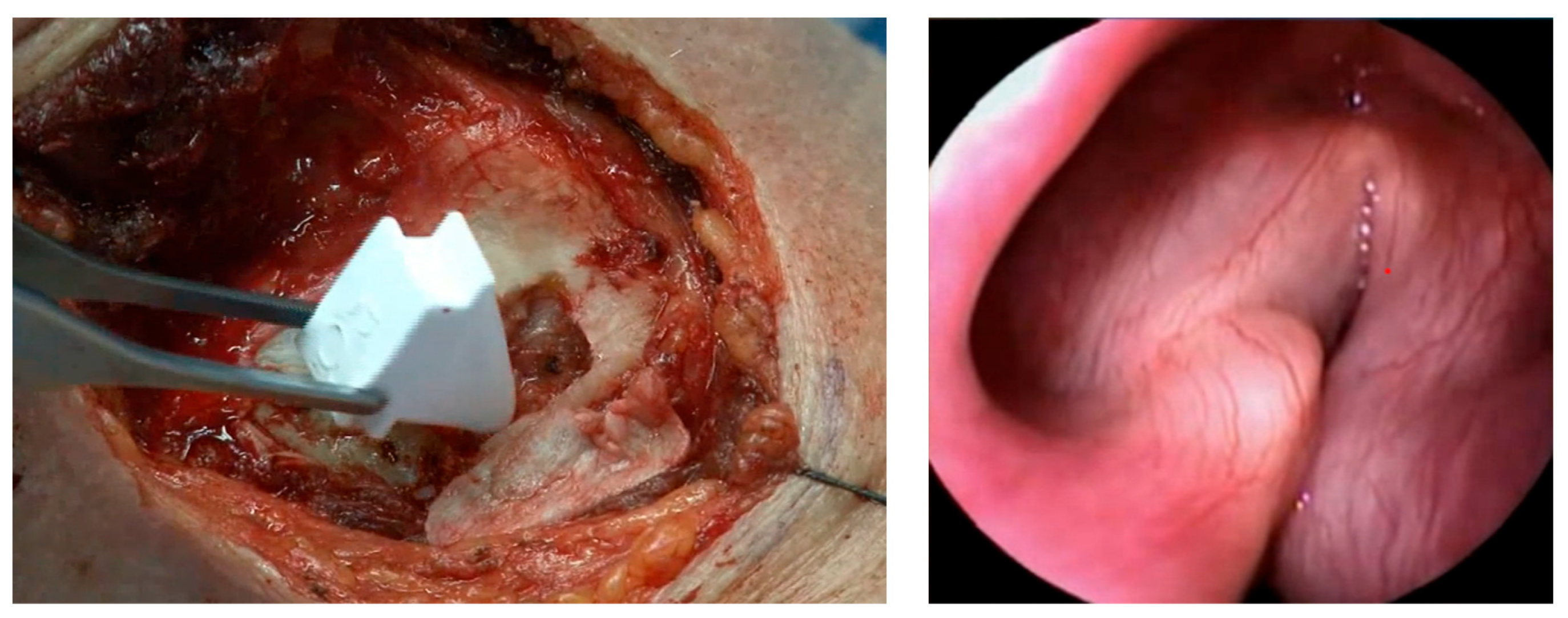 Surgeries 05 00058 g001