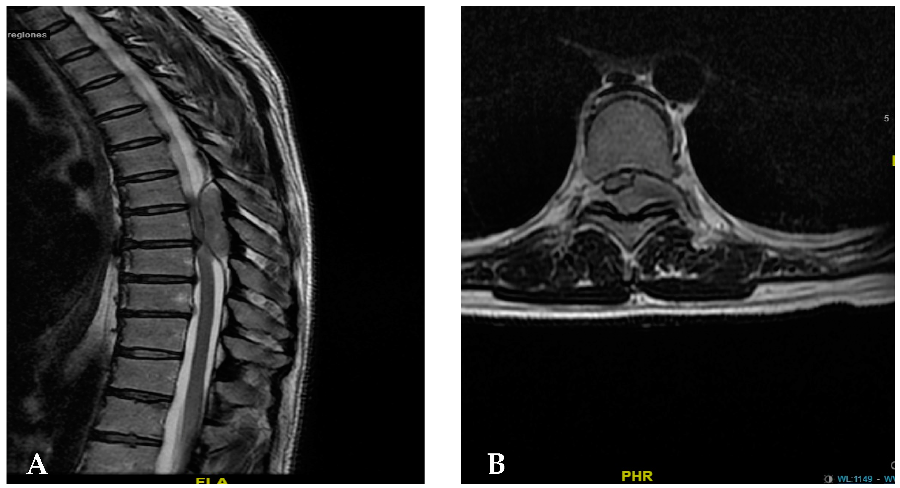 Surgeries 05 00074 g001