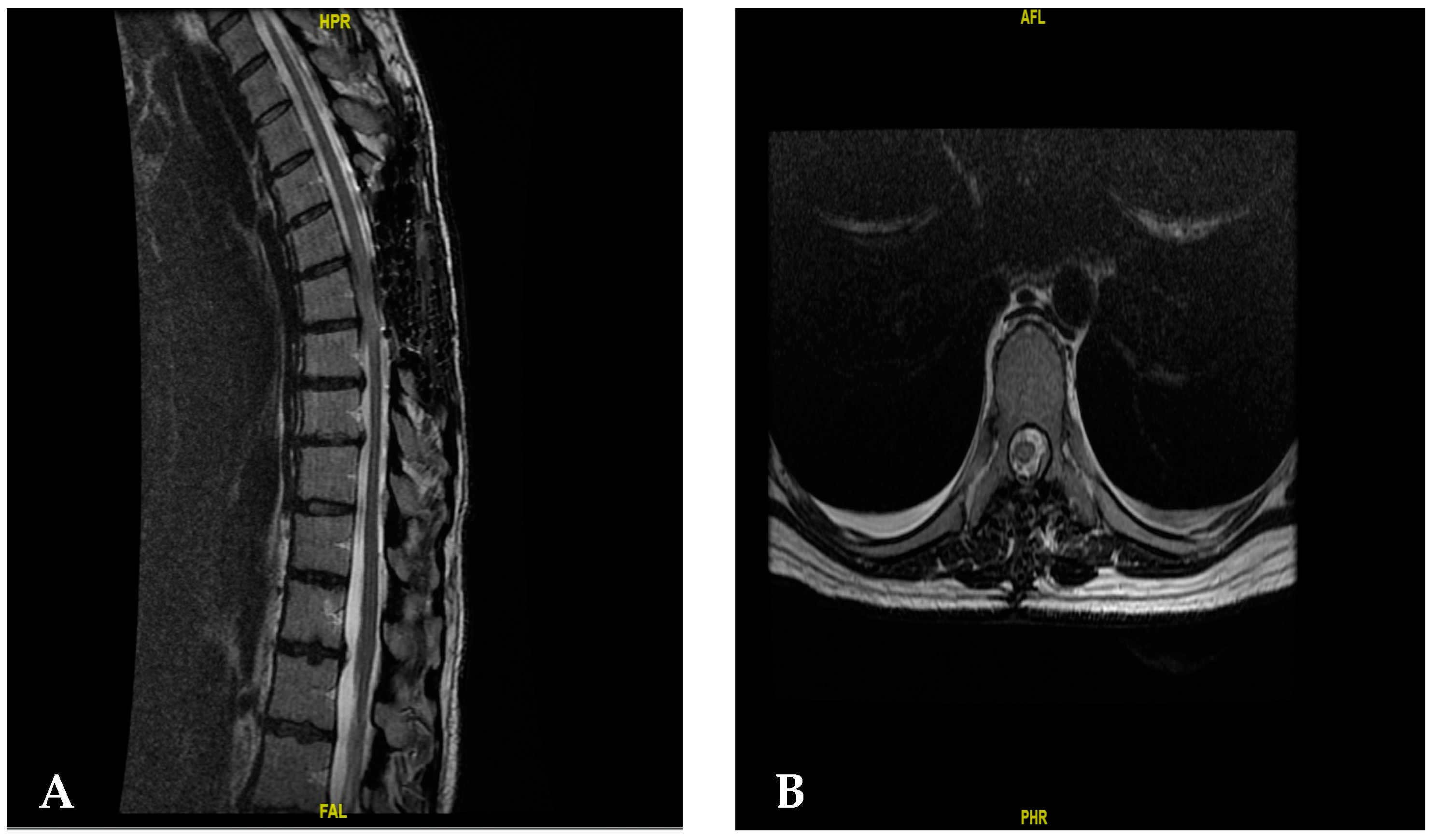 Surgeries 05 00074 g004