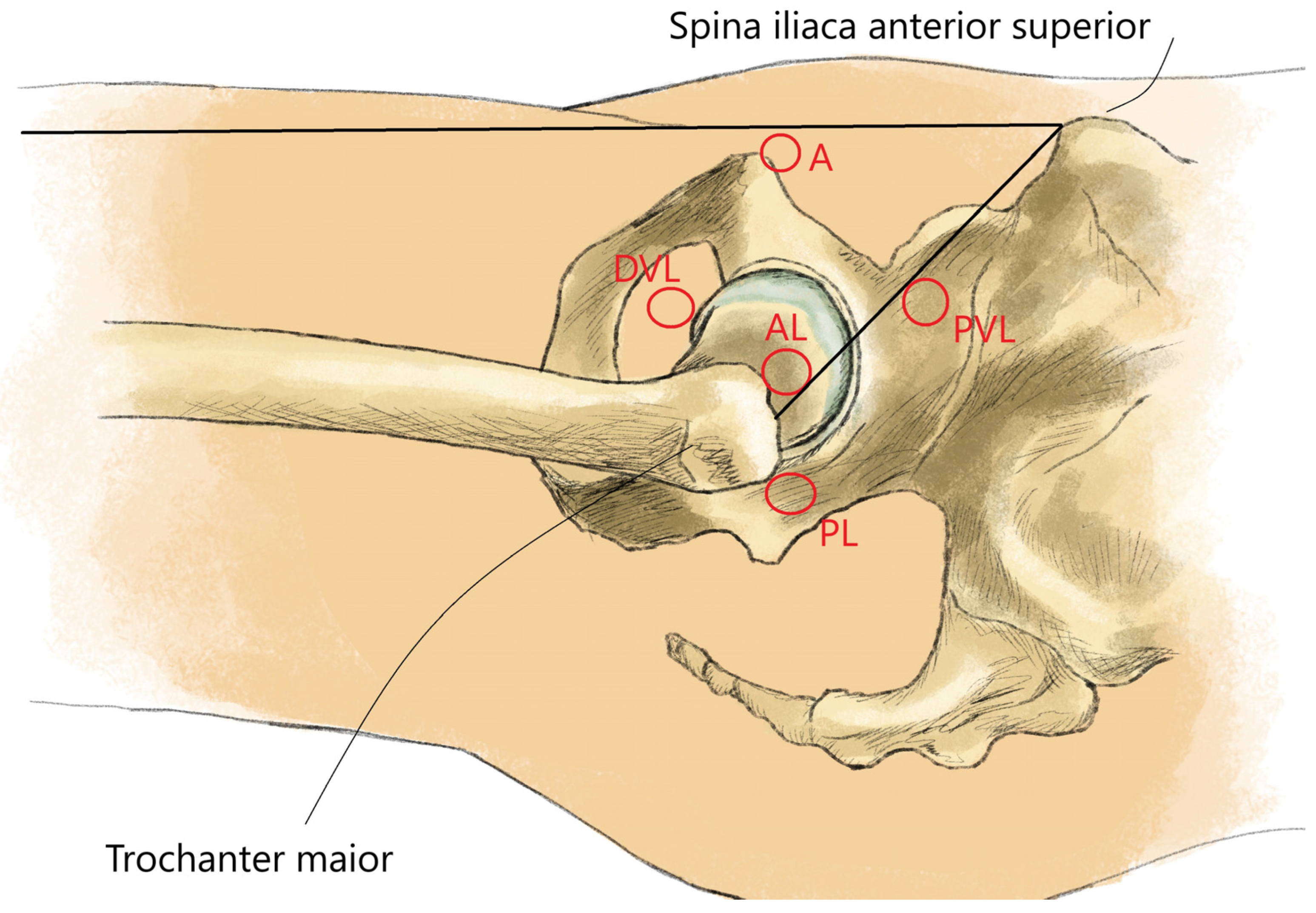 Surgeries 05 00089 g003