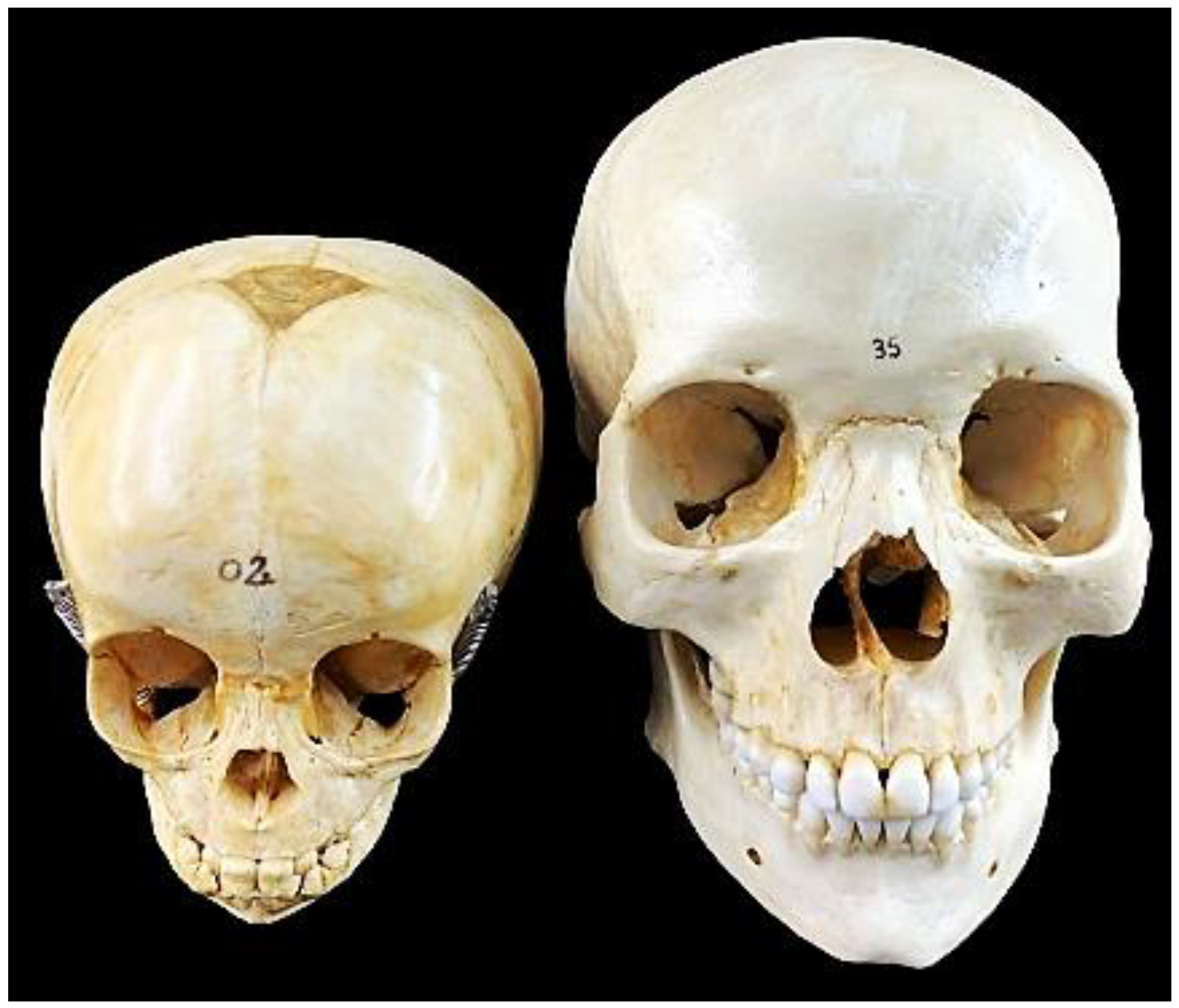 Surgeries 05 00090 g001