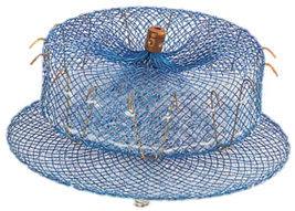 Surgeries 06 00015 i002