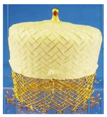 Surgeries 06 00015 i005