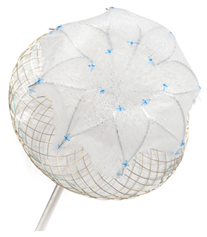 Surgeries 06 00015 i006