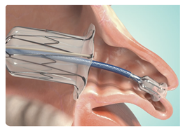 Surgeries 06 00015 i007