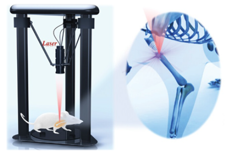 Surgeries 06 00015 i013