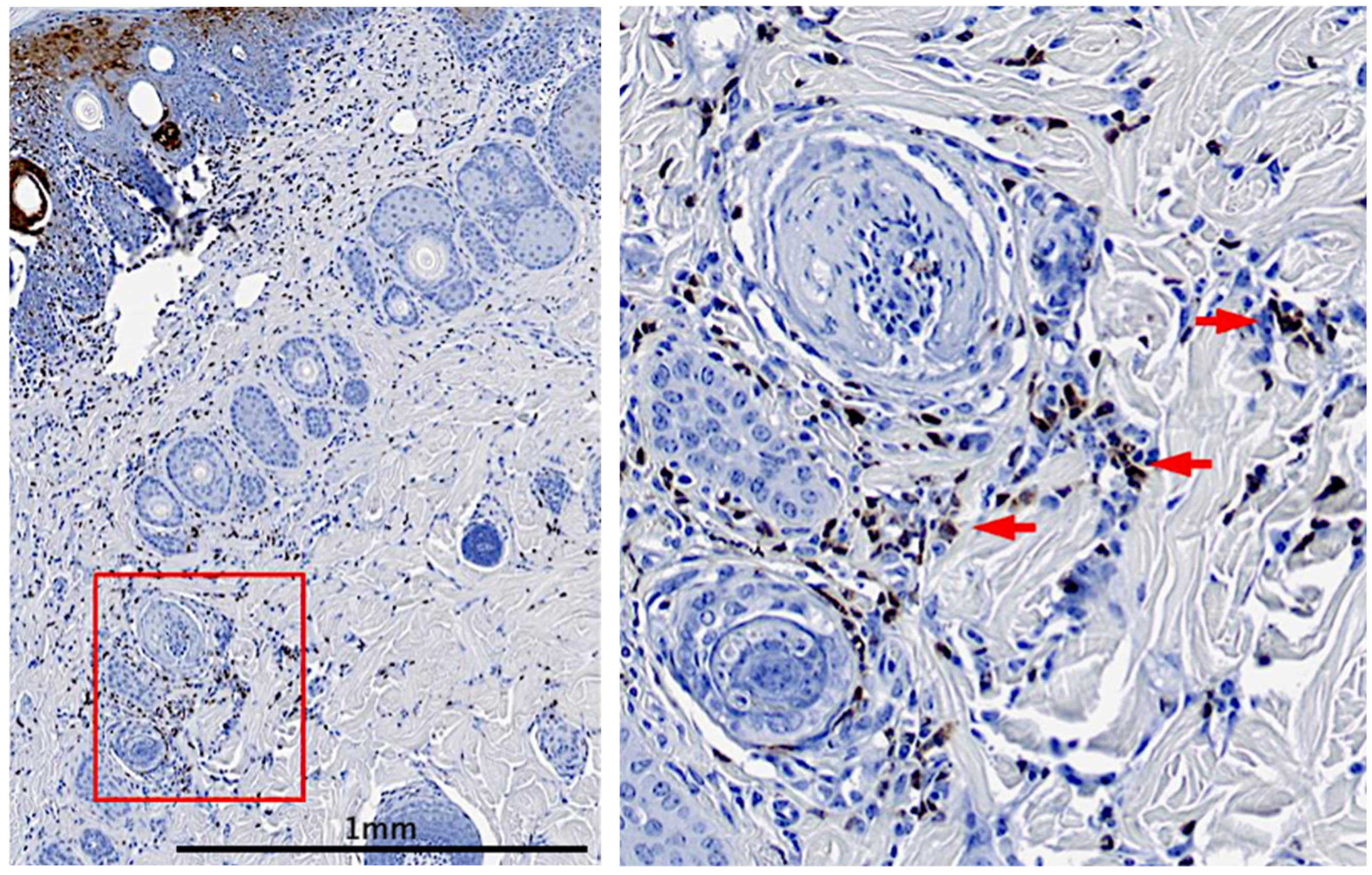 Surgeries 06 00030 g002