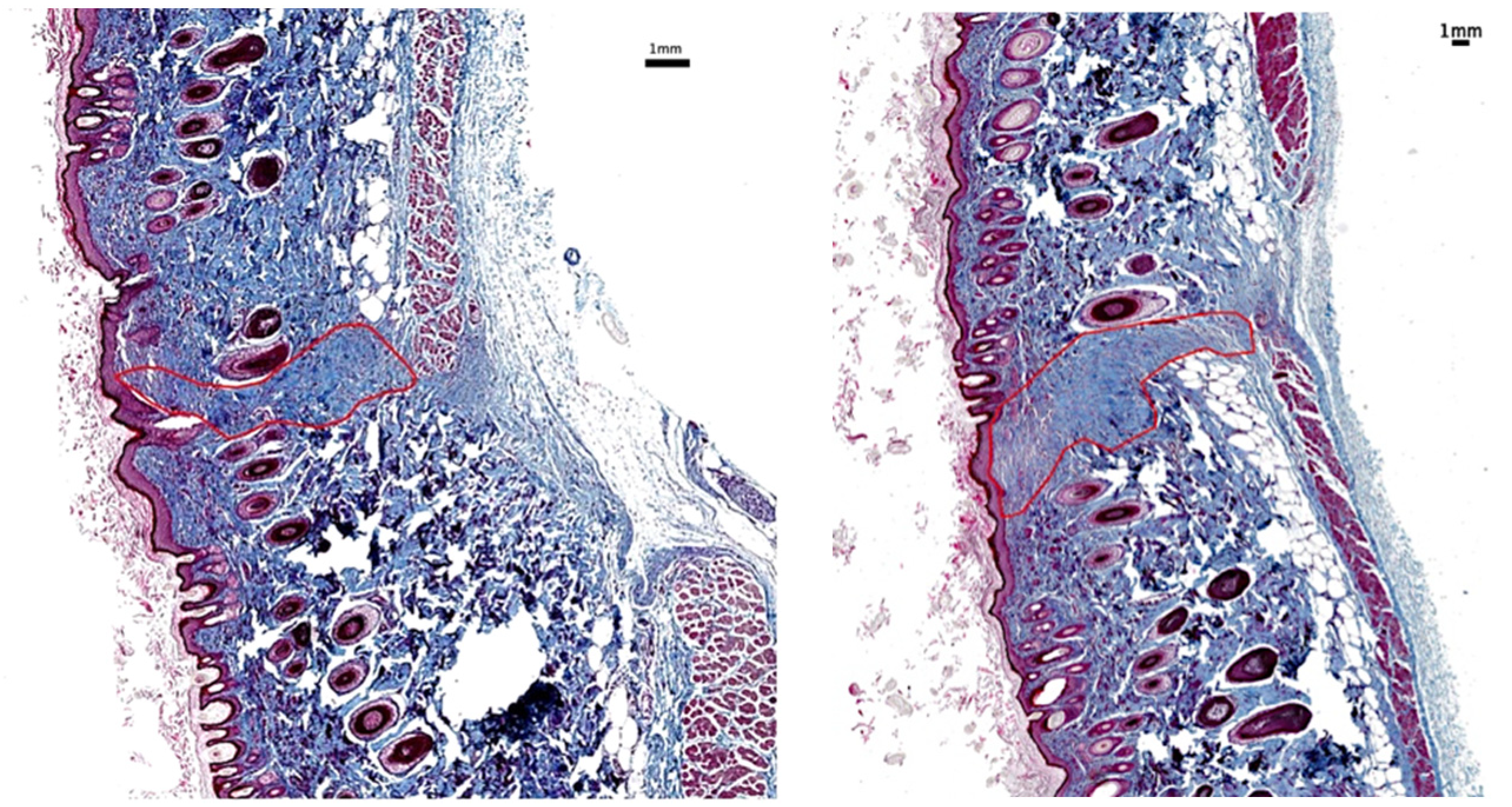 Surgeries 06 00030 g008